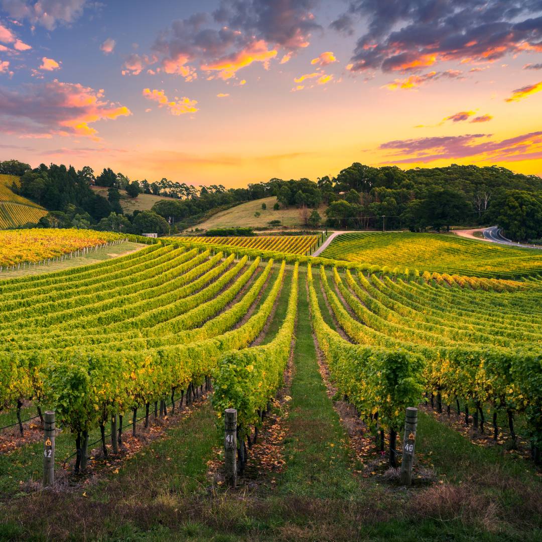 Bourgogne Franche-Comté