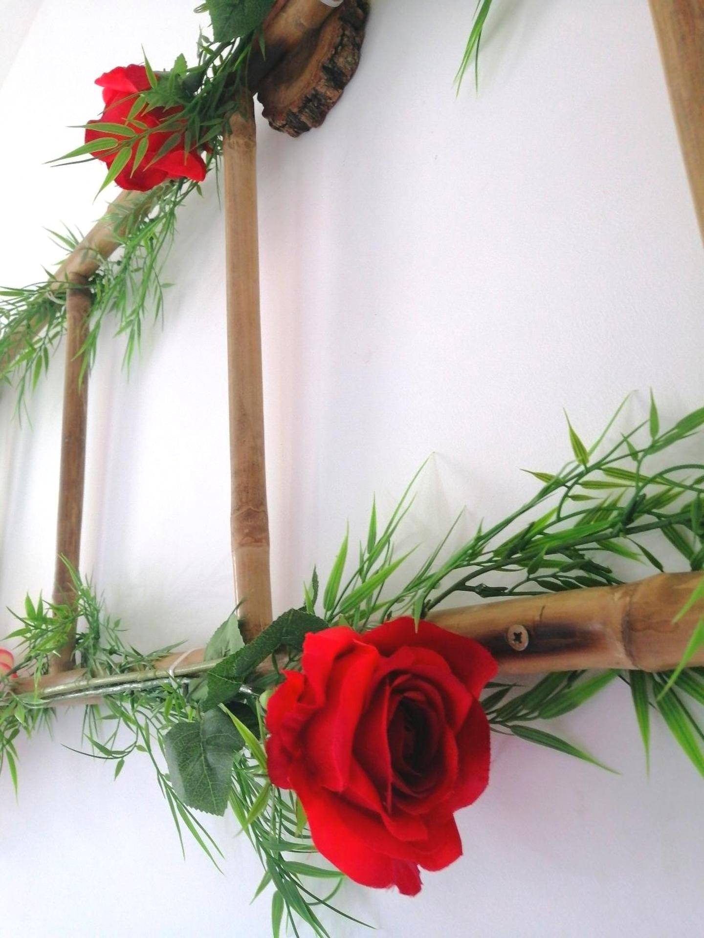 Photo du logement - Le 1965 Double BALNEO, confort et romantique