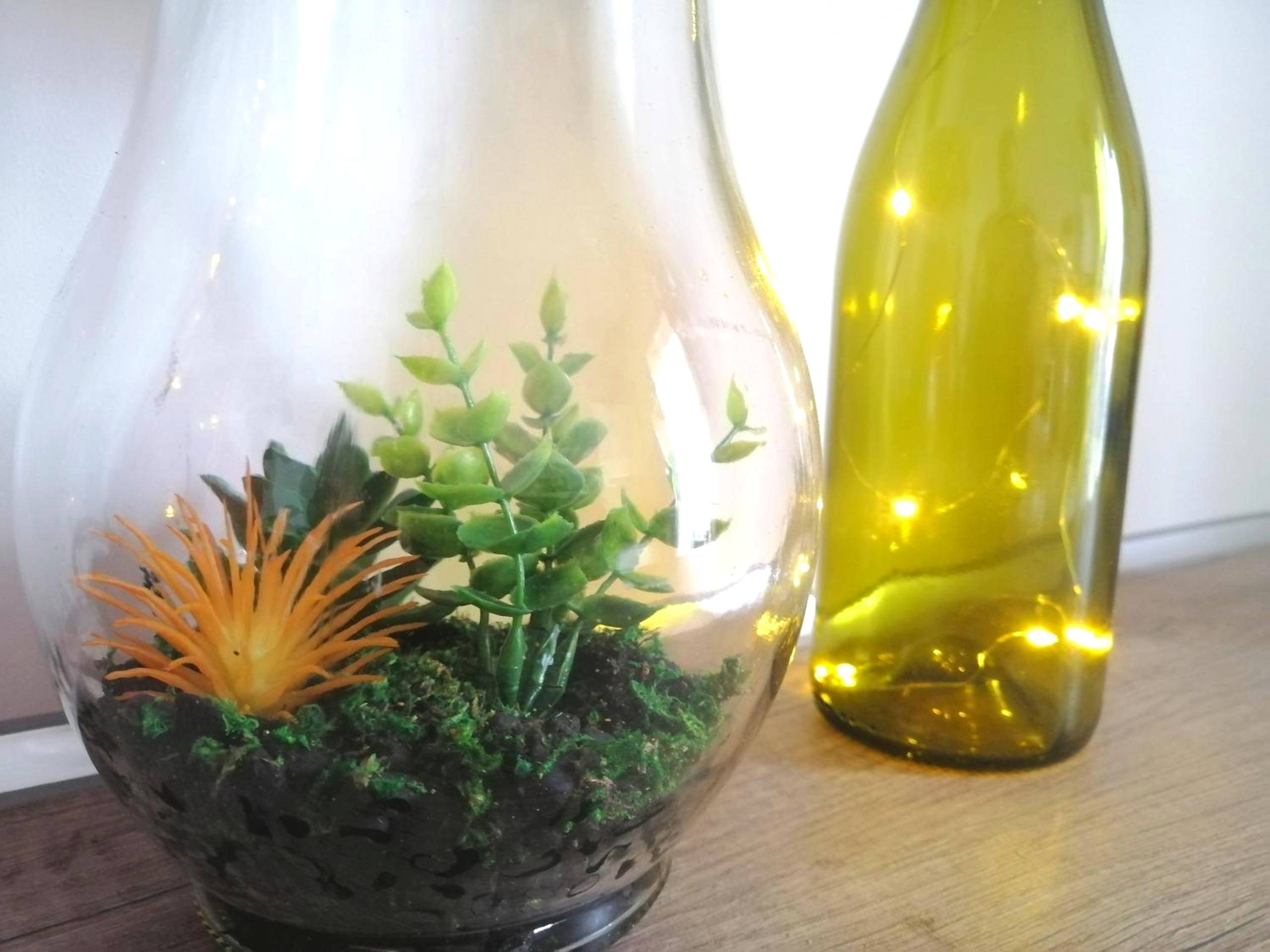 Photo du logement - Le 1965 Double BALNEO, confort et romantique