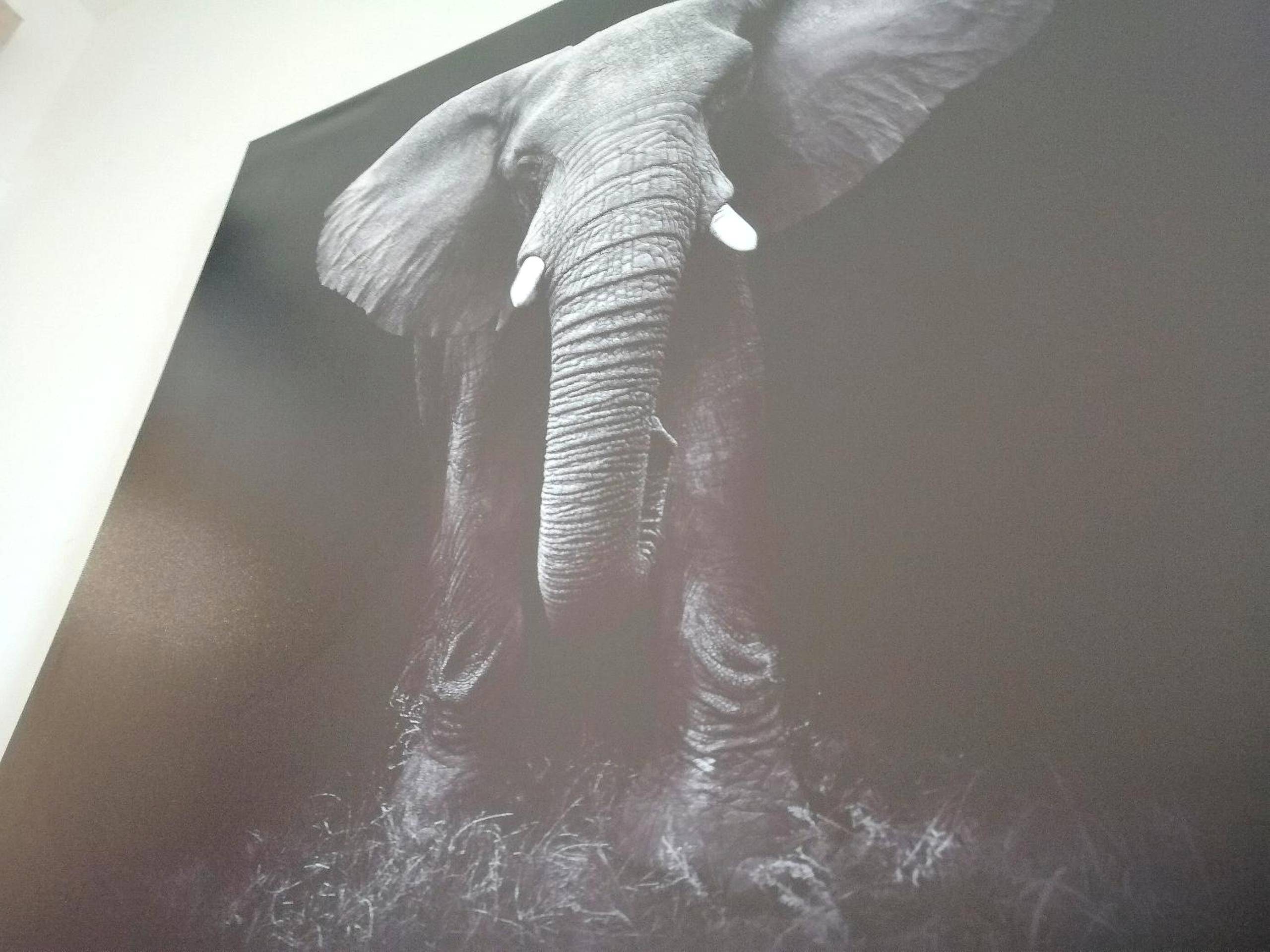 Photo du logement - Le 1965 Double BALNEO, confort et romantique - Grenoble