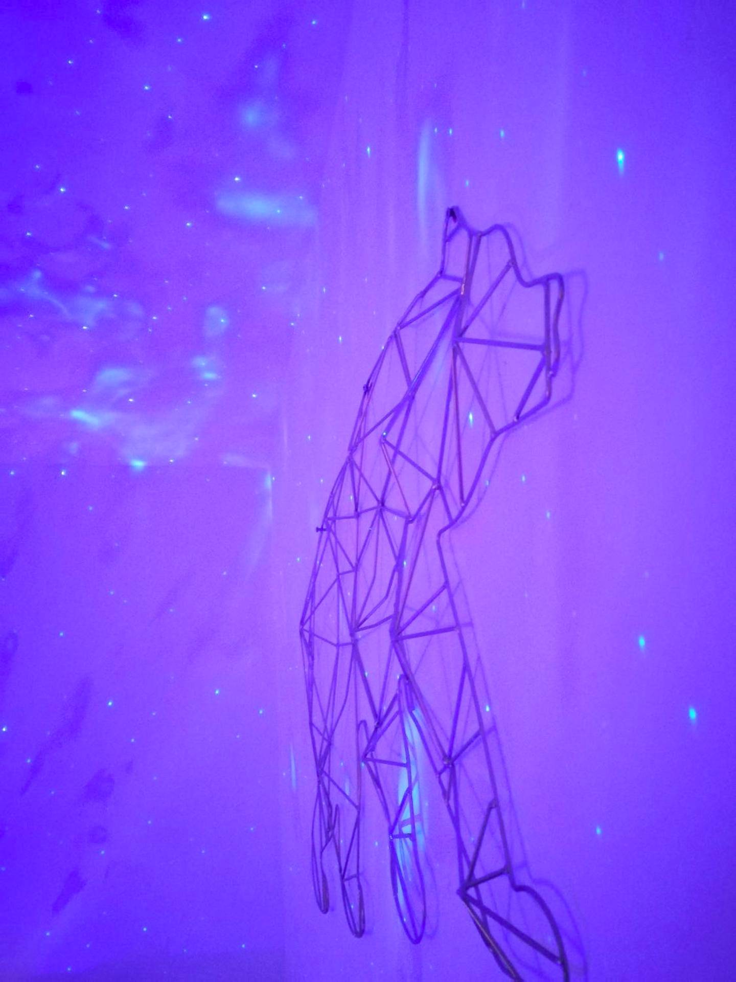 Photo du logement - Le 1965 Double BALNEO, confort et romantique