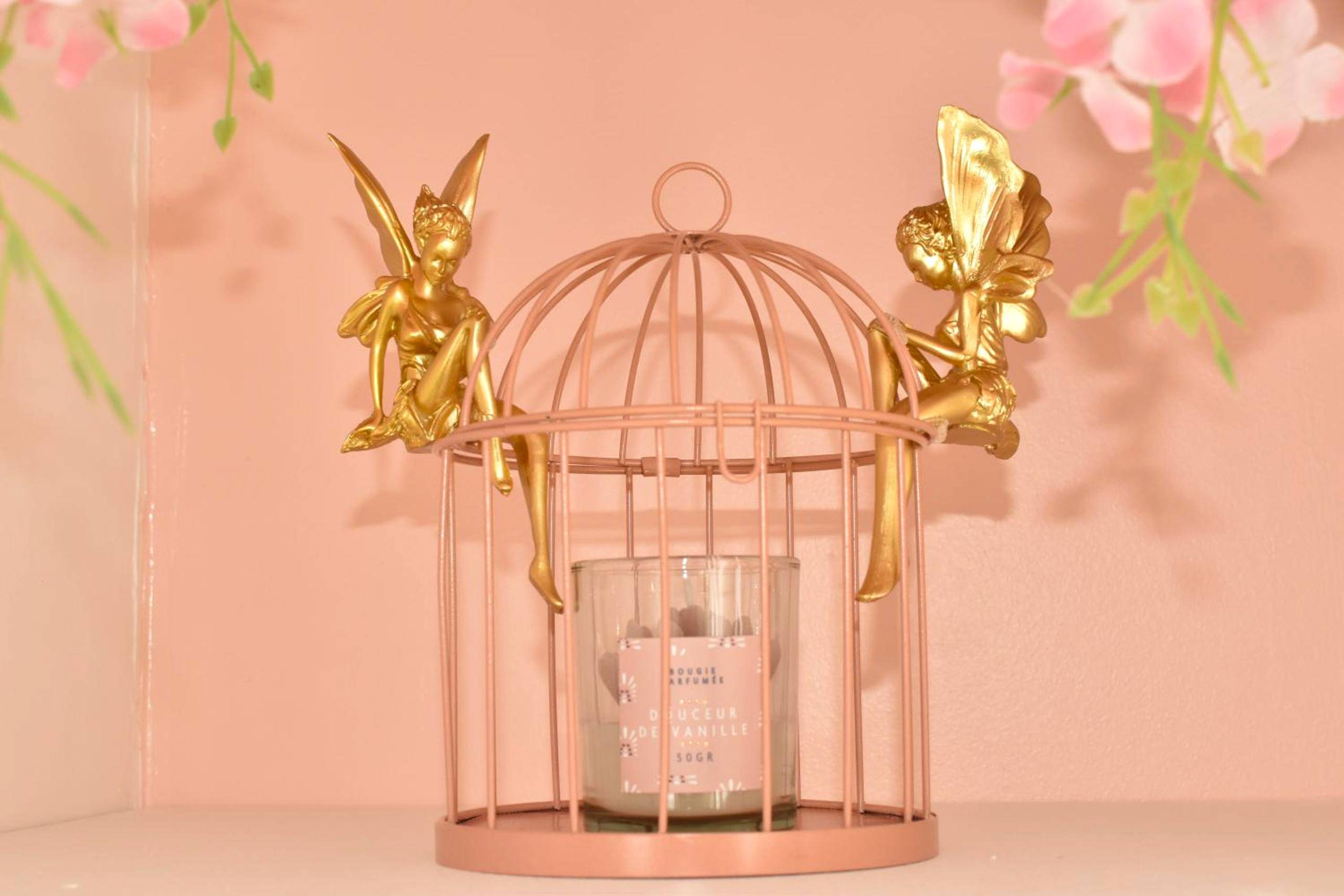 Photo du logement - Studio les 2 fées - Jacuzzi - Brocéliande - Montfort - sur - Meu