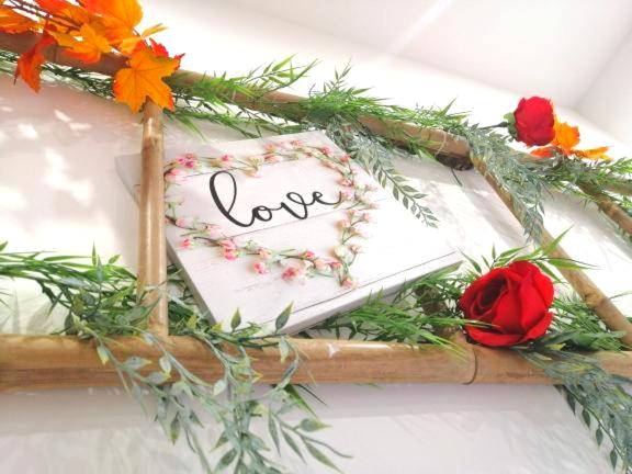 Photo du logement - Le 2005 Double BALNEO, Lit QUEEN SIZE, soirée romantique