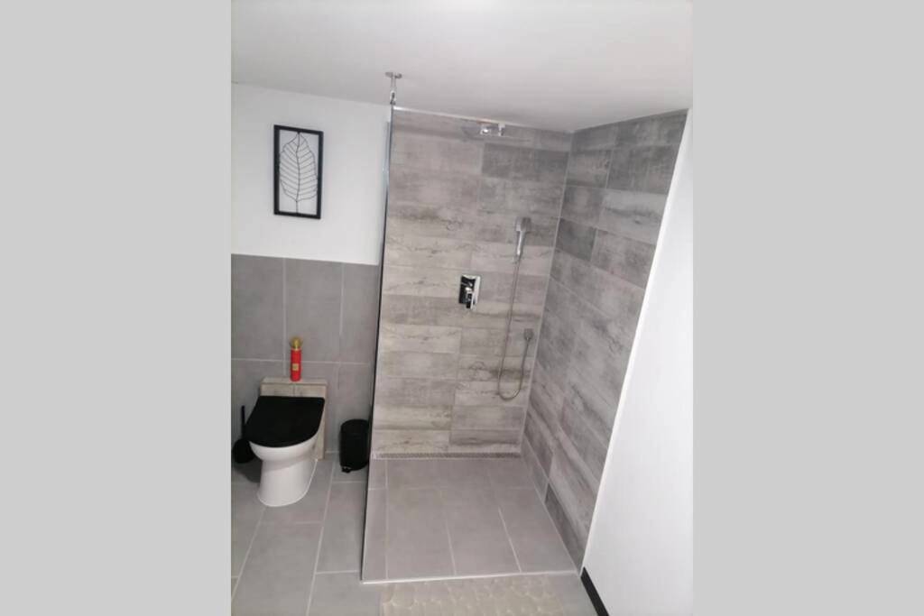 Douche à l'italienne et WC suspendu - Maison 50 Nuances De Bresse