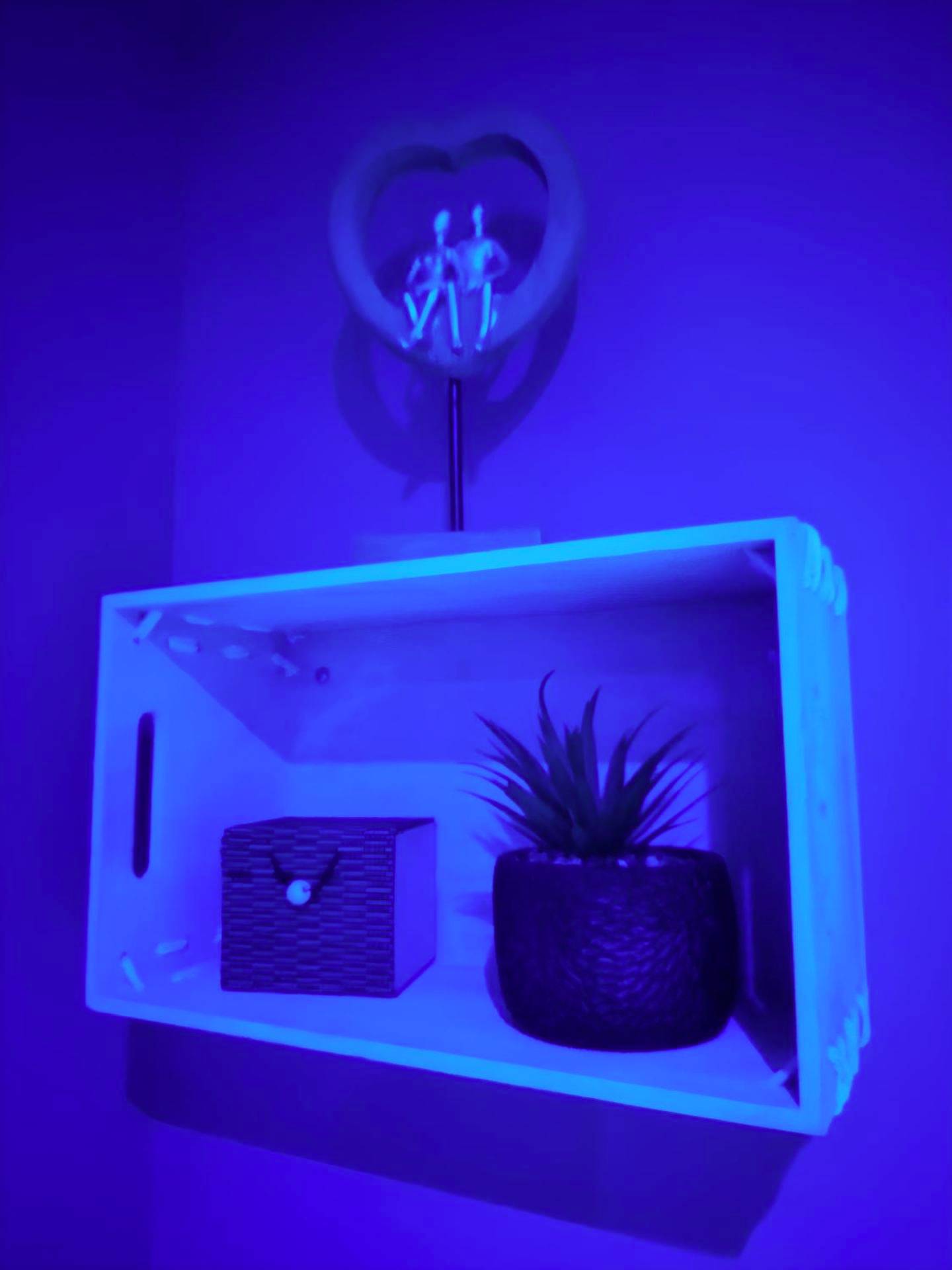 Photo du logement - Love Room, Gîte 4 étoiles, 50 Nuances Romantiques