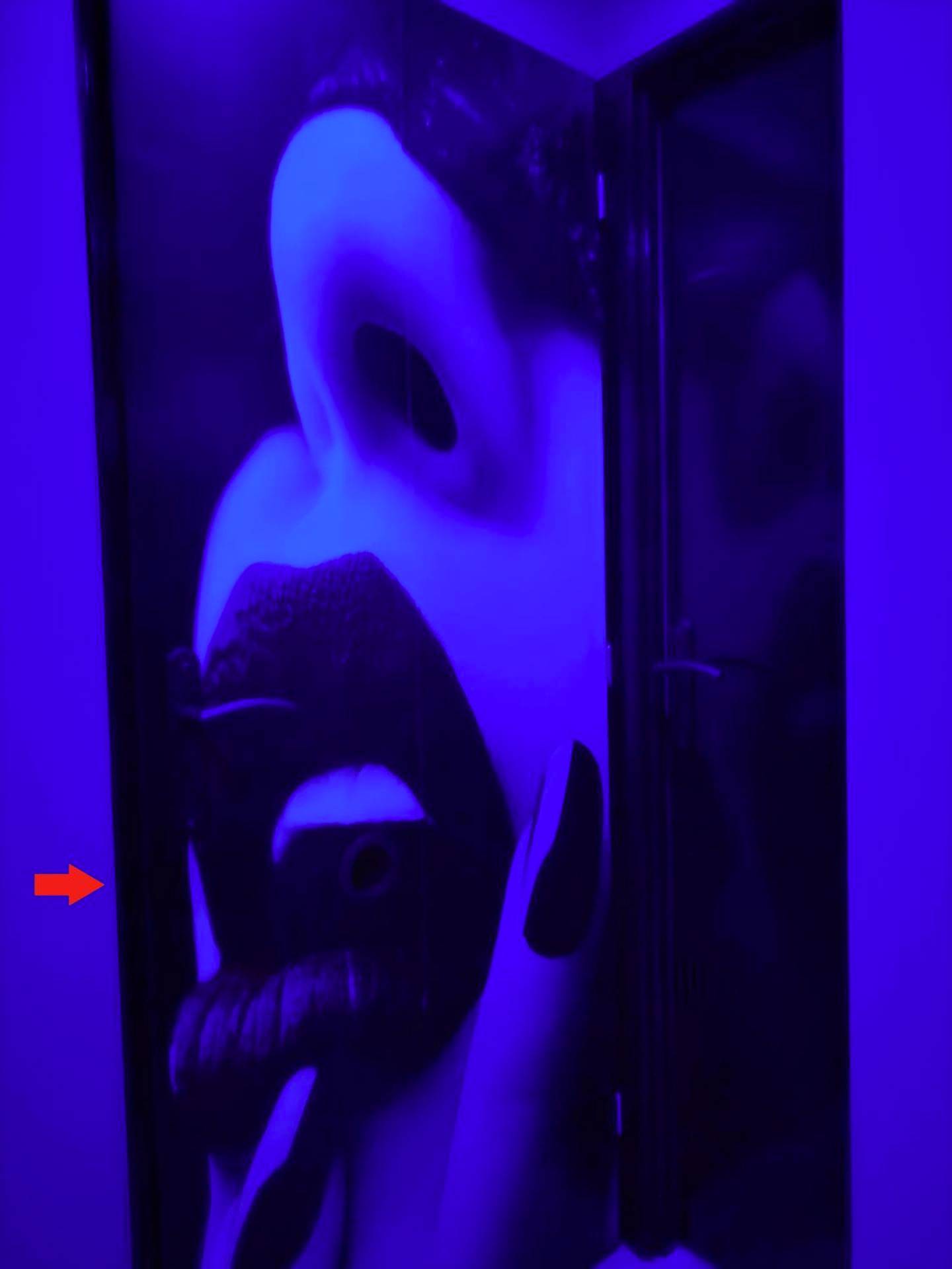 Photo du logement - Love Room, Gîte 4 étoiles, 50 Nuances Romantiques