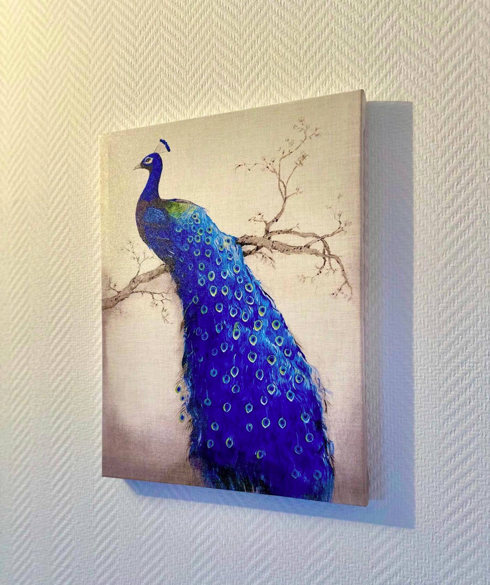 Tableau décoratif représentant un paon bleu - A4 Jacuzzi, ARTEM, Thermal
