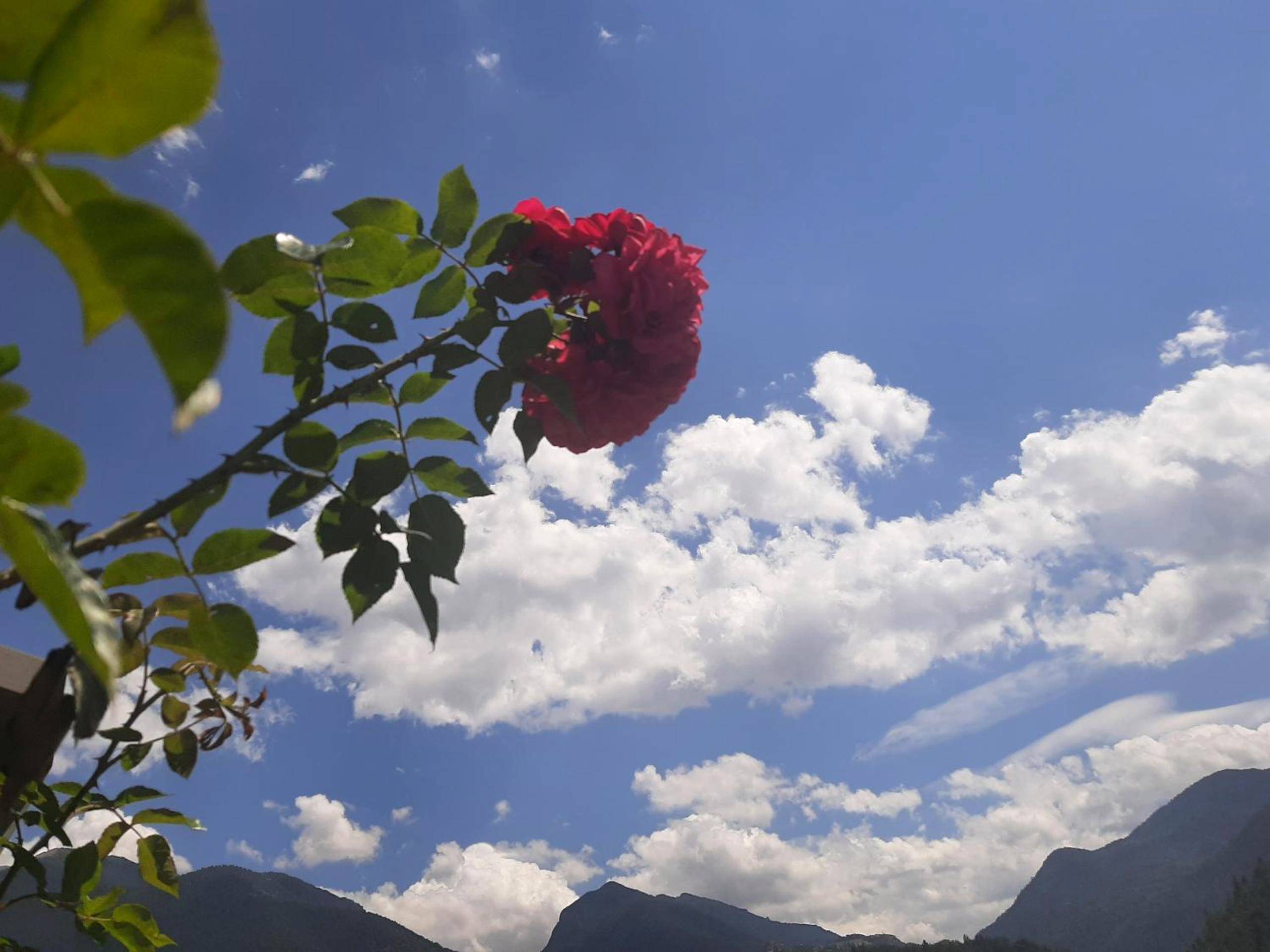 Photo du logement - La love room des alpes - Guillestre