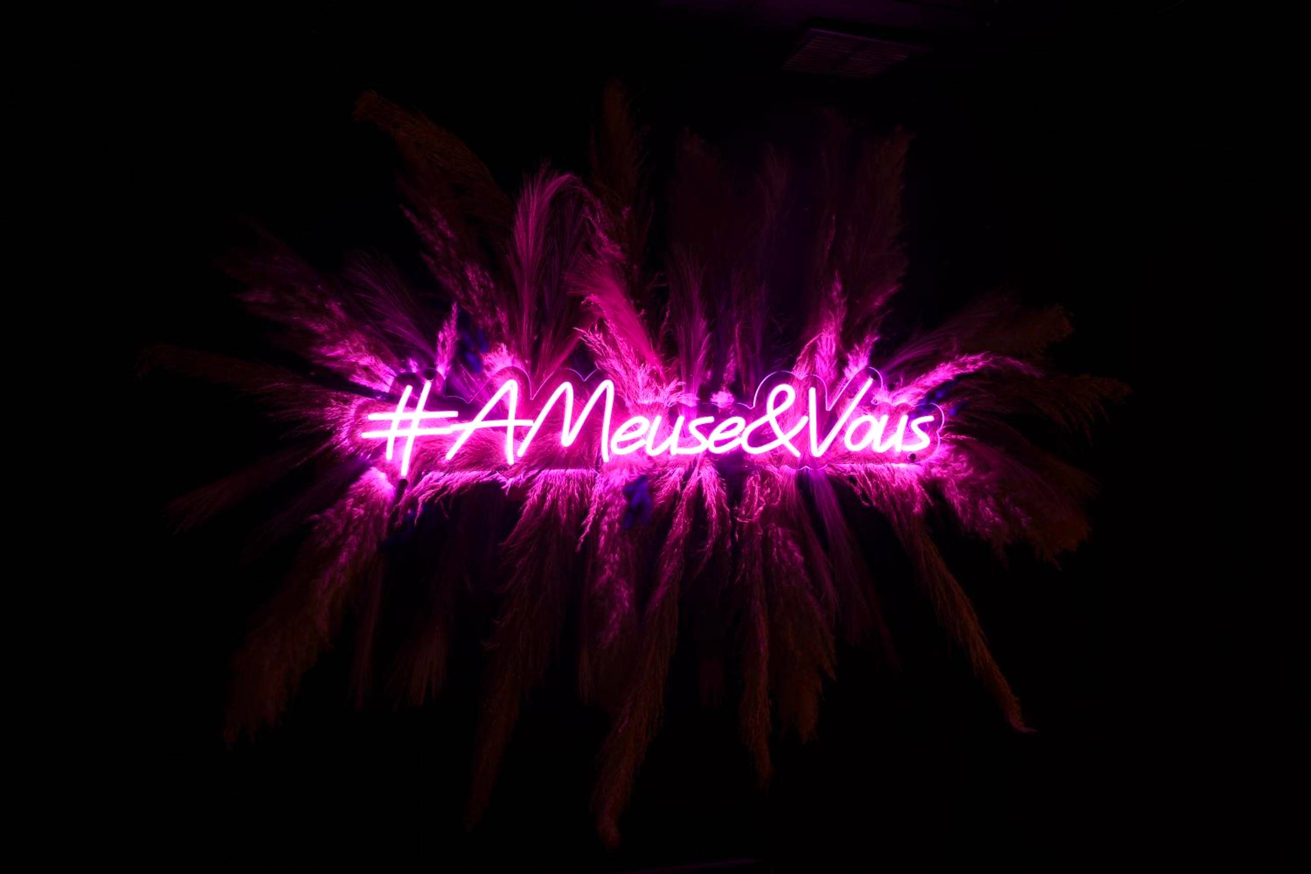 Néon rose décoratif sur herbes de la pampa - Love Room Aussonce - Love Room AMeuse&Vous