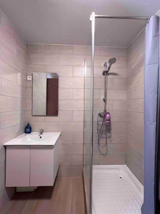 Photo du logement - Un amour de moment