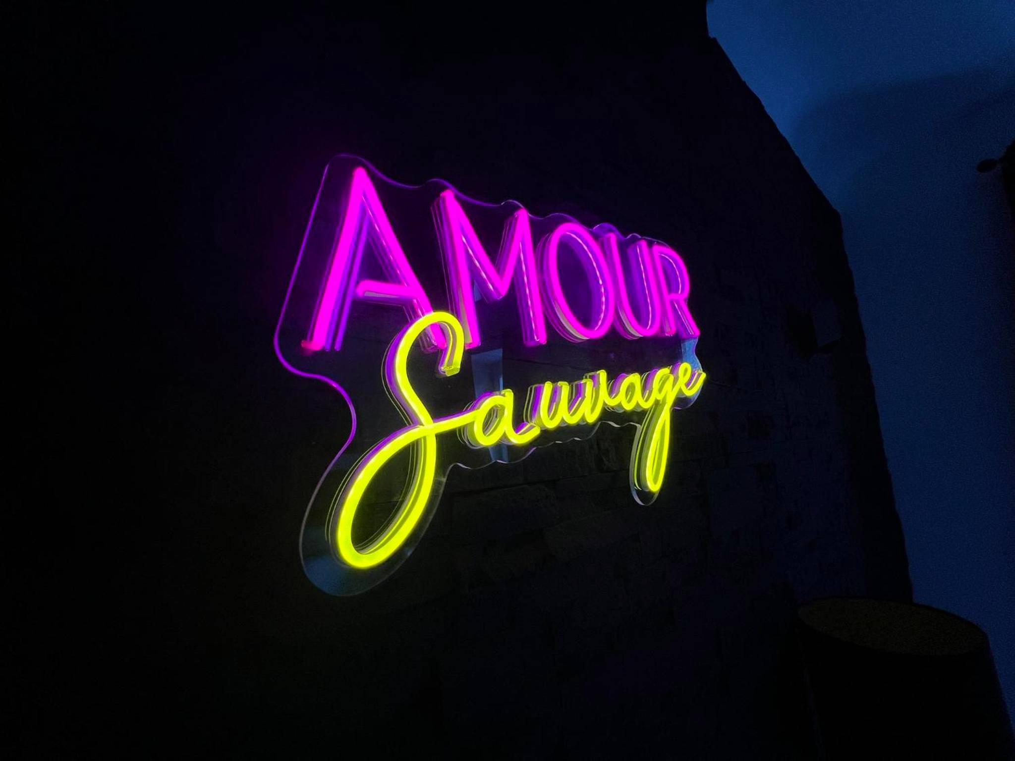 Néon mural Amour Sauvage rose et jaune - Love Room Avignon - Amour Sauvage - Love Room****, Centre - Historique