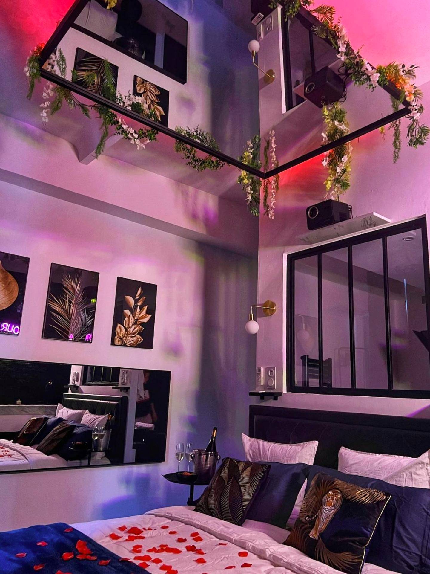 Photo du logement - Amour Sauvage - Love Room****, Centre - Historique