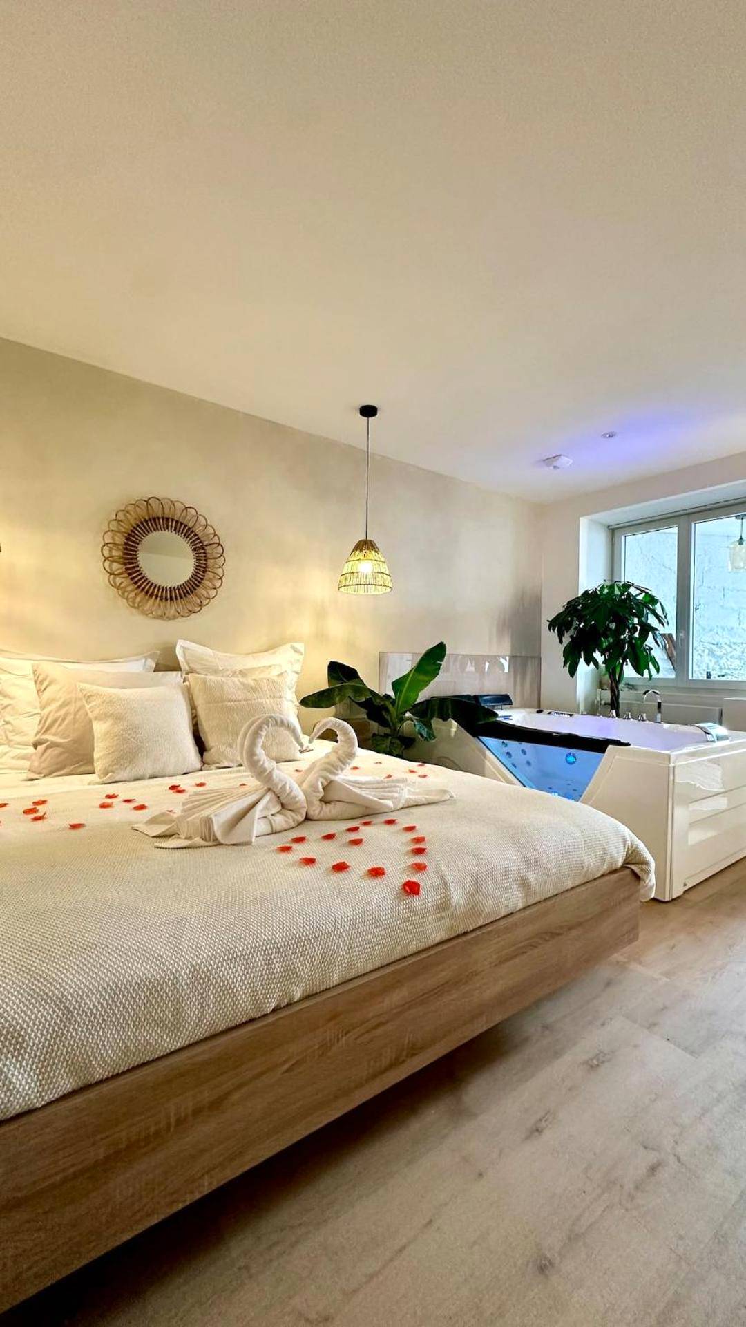 Vue du logement - L Anaya Nantes Spa et Sauna