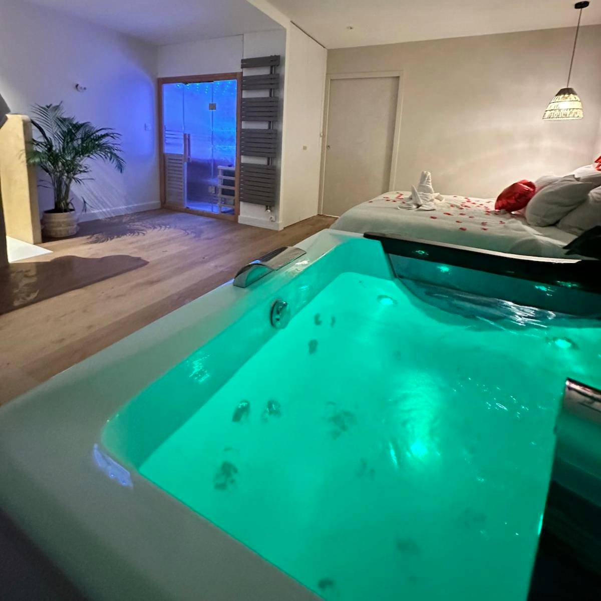 Vue du logement - L Anaya Nantes Spa et Sauna