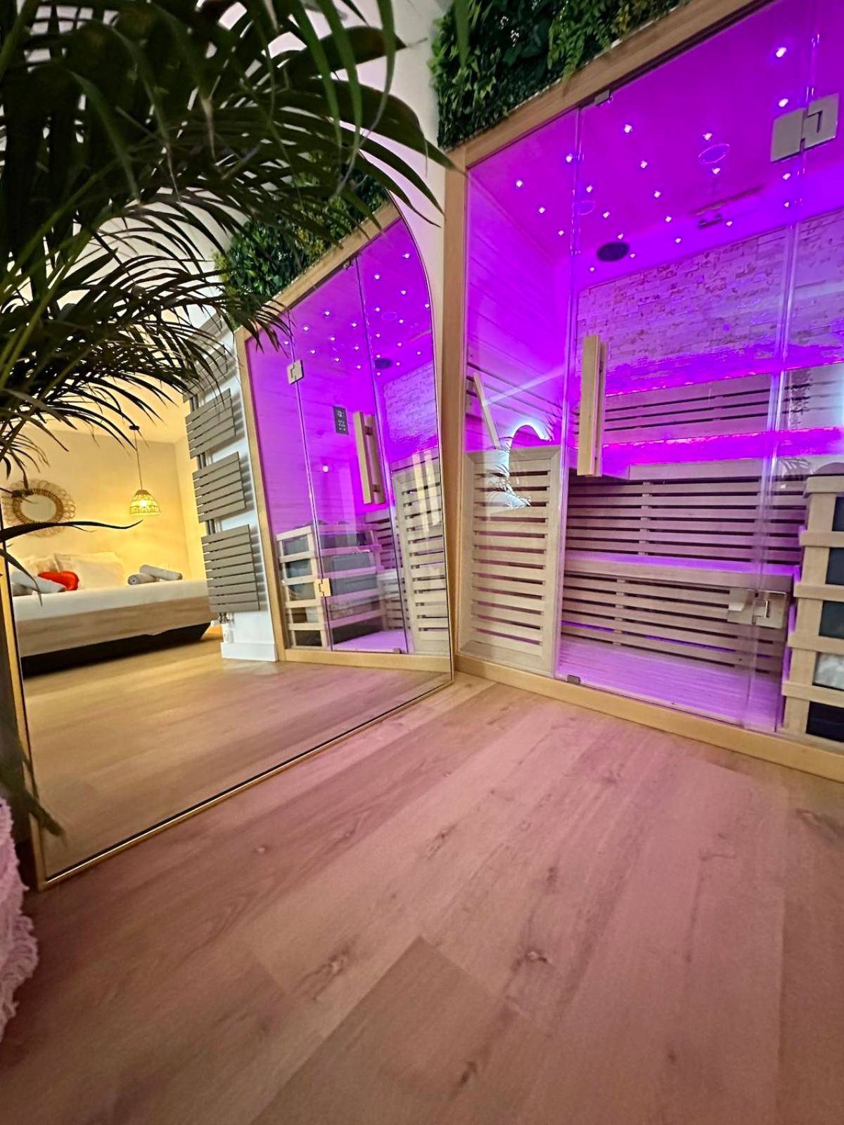 Photo du logement - L Anaya Nantes Spa et Sauna