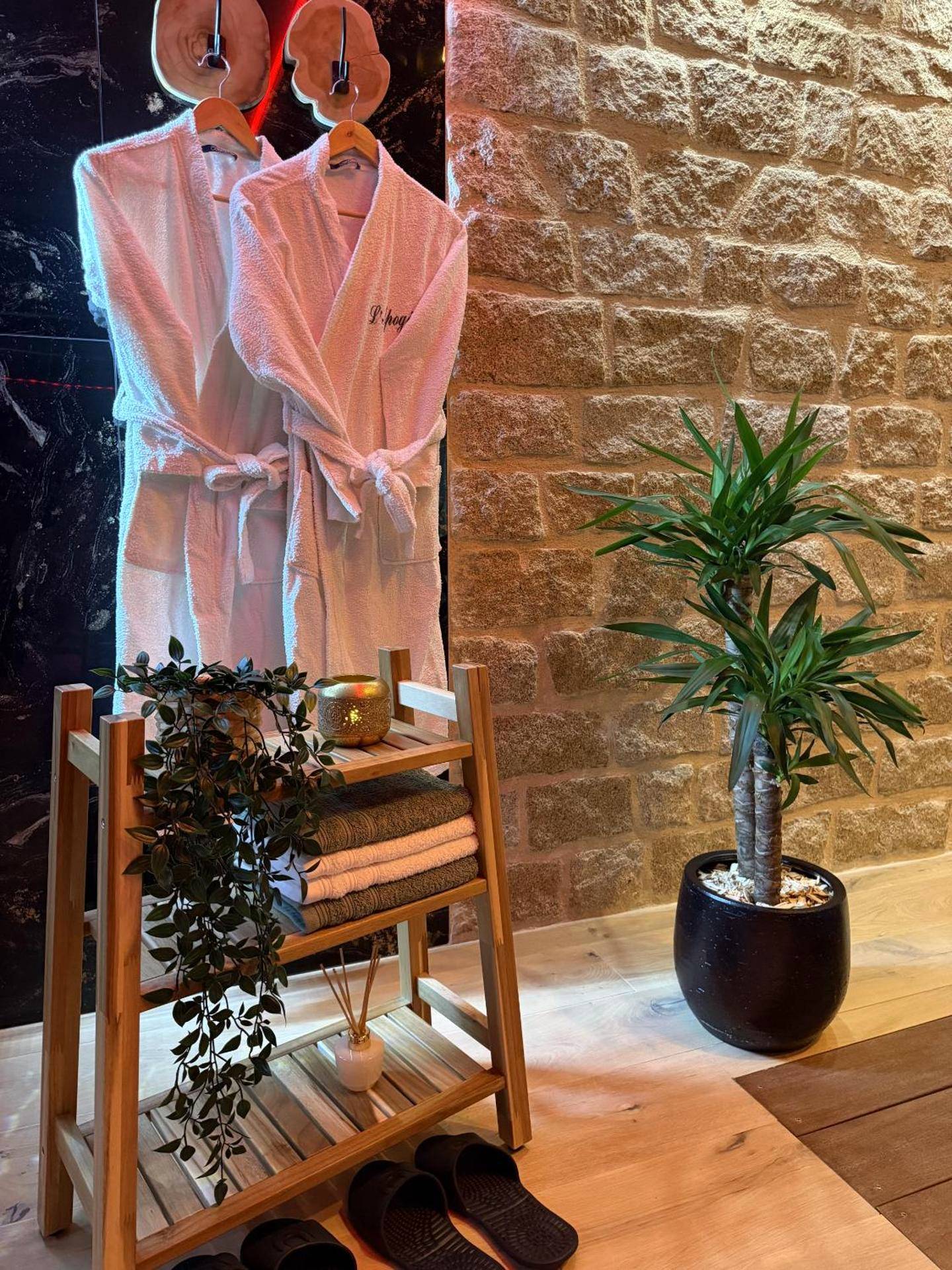 Photo du logement - L'Apogée - Noyal - Pontivy