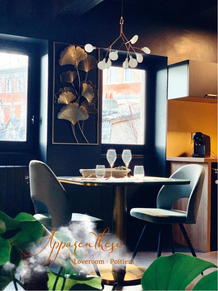 Photo du logement - Apparenthèse Love Room Jacuzzi Sauna - Poitiers