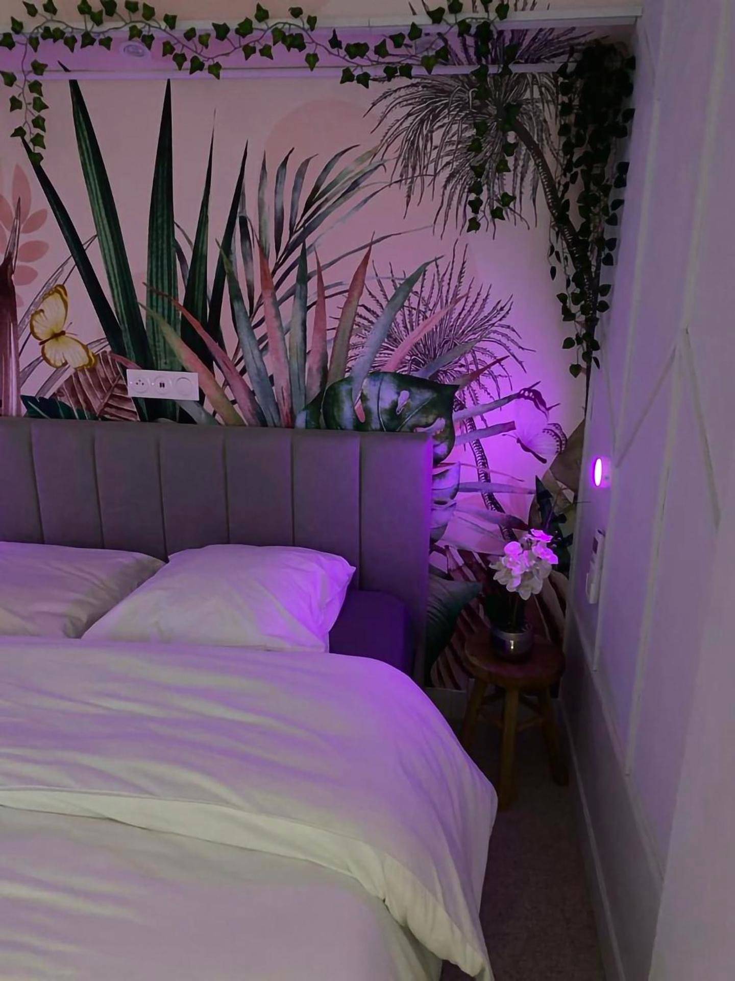 Photo - L'appart'hôtel - 1 Appartement Love Room avec Spa Privatif & Autres Appartements Standards à thèmes sans spa