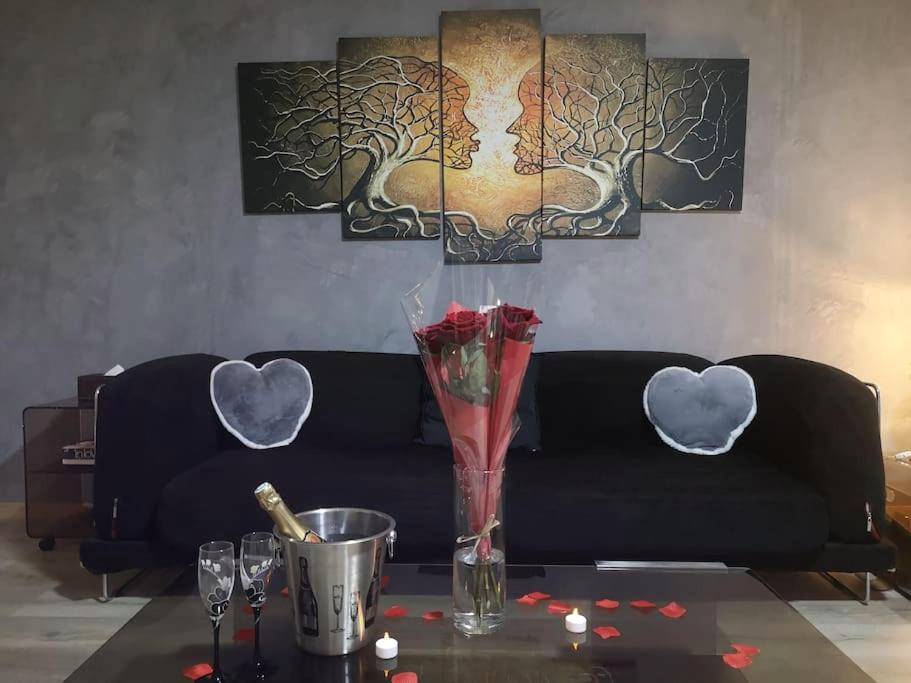 Photo du logement - Appart' spa privatif Gray