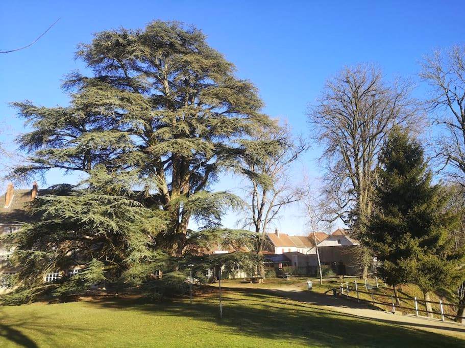 Photo du logement - Appart' spa privatif Gray