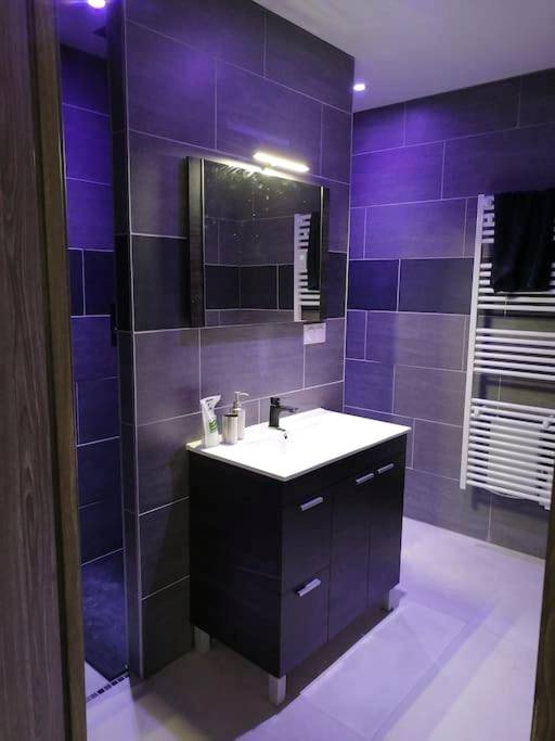 Salle de bain moderne avec douche et vasque - Appart' spa privatif Gray