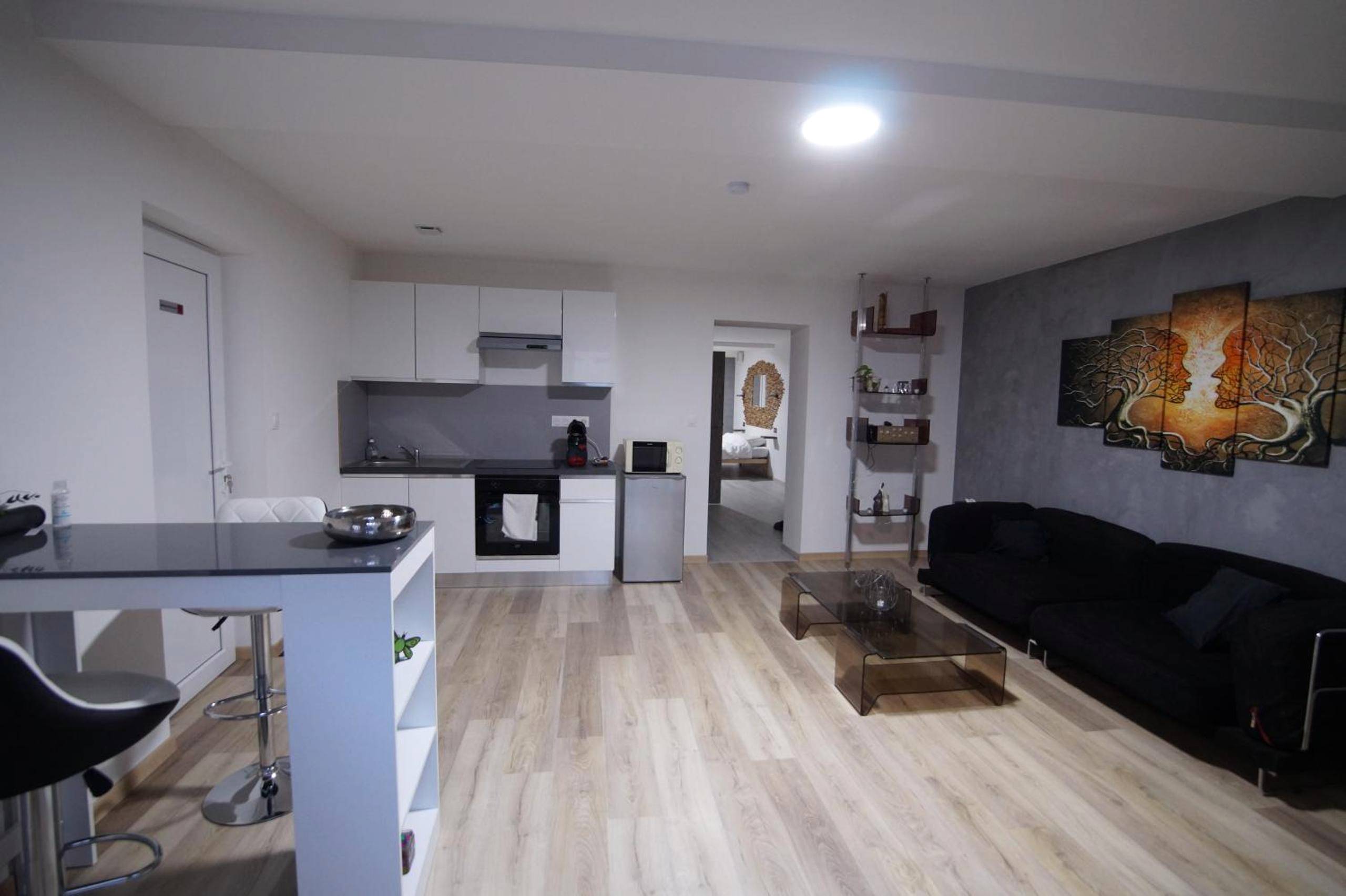 Espace salon avec cuisine ouverte équipée - Appart' spa privatif Gray