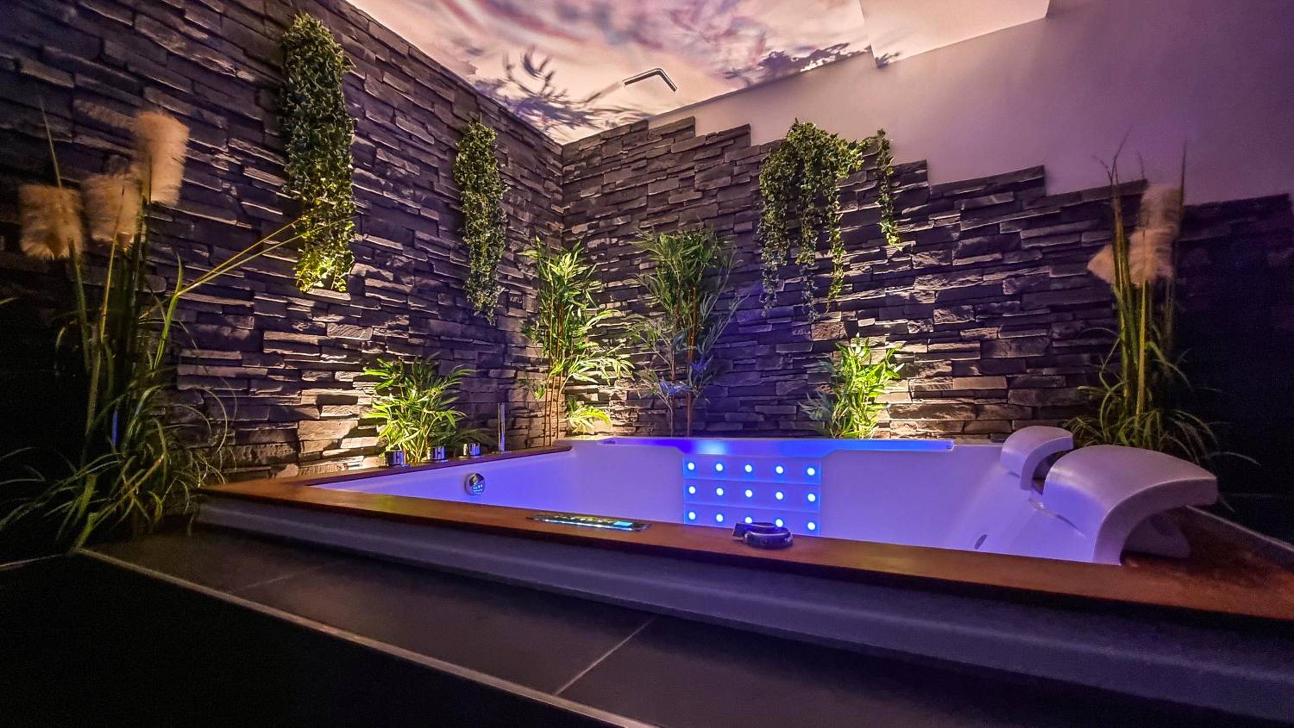 Photo du logement - Appart' spa privatif Gray - Gray