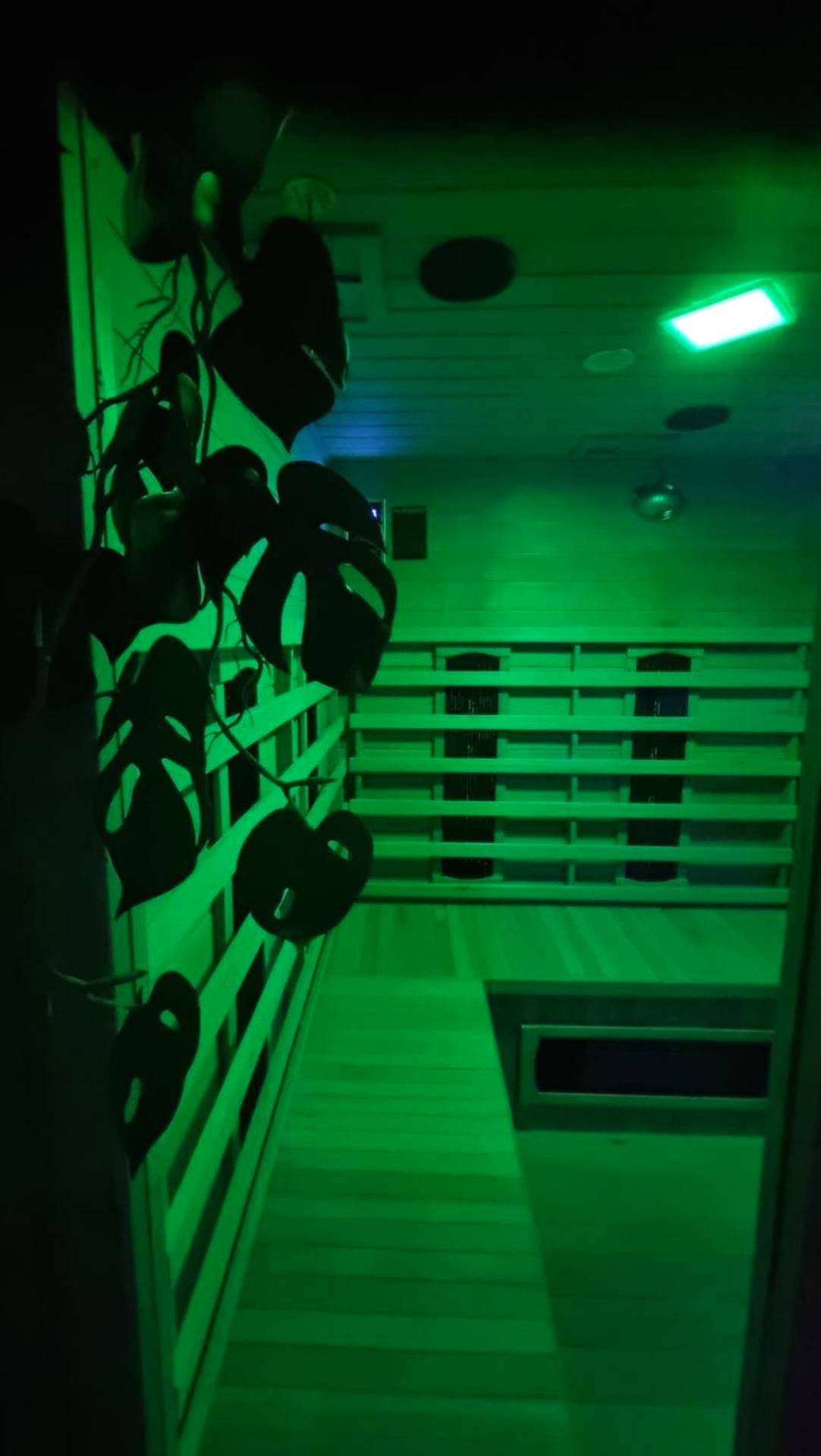 Photo du logement - Appart' spa privatif Gray