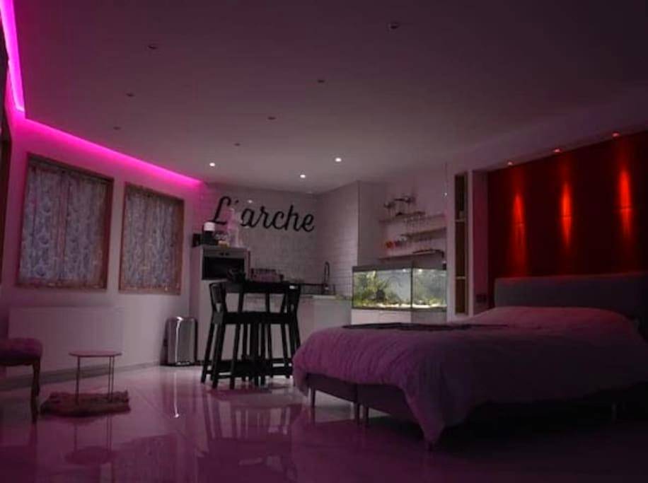 Studio avec éclairage néon rose et aquarium - Love Room Grenoble - L'Arche Loft nid douillet - L'Arche Loft nid douillet...