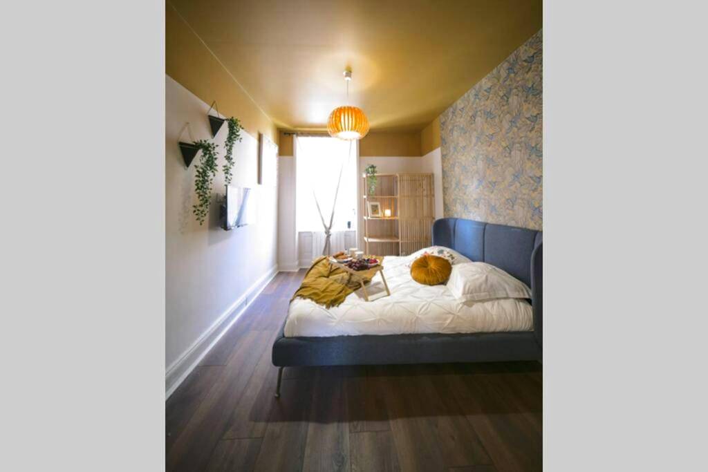 Photo du logement - Arty room JACCUZI & SPA CENTRE VILLE HAUT DE GAMME - Mulhouse