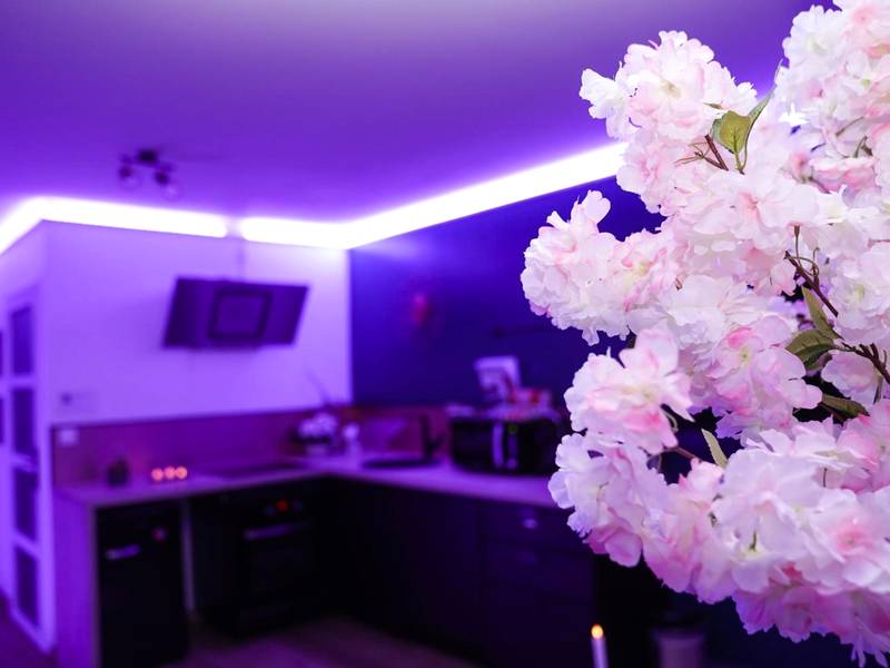 Photo du logement - L'Atelier de rêves - Metz