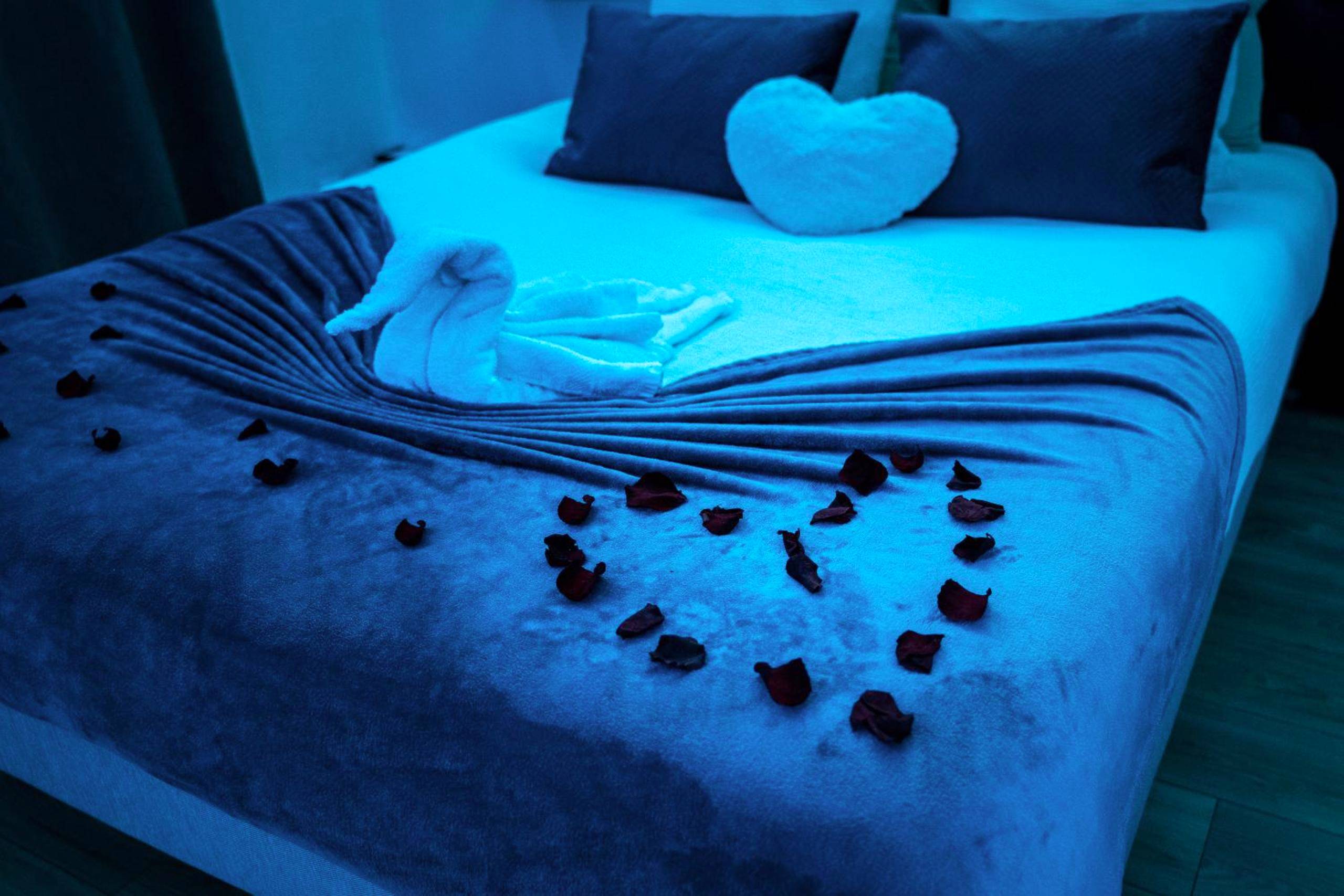 Lit décoré de pétales de roses et cygne en coton - L'Atelier de rêves