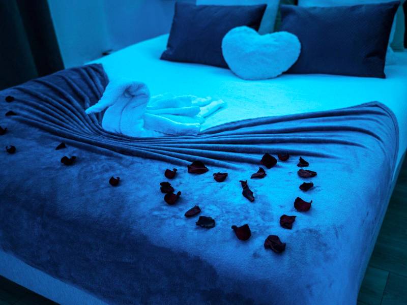 Lit décoré de pétales de roses et cygne en coton - L'Atelier de rêves