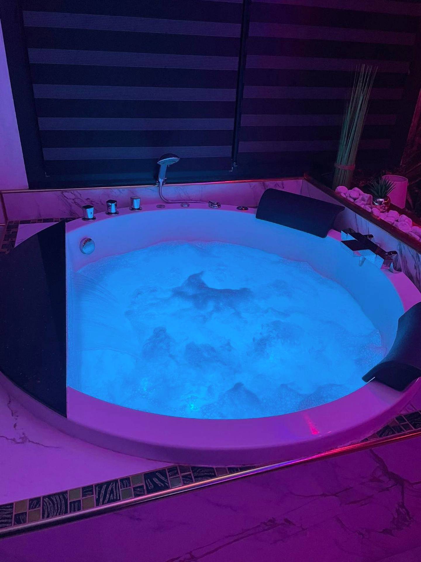 Photo du logement - L'Aurore Love Room de prestige jacuzzi sauna piscine chauffée cuisine - Carpentras