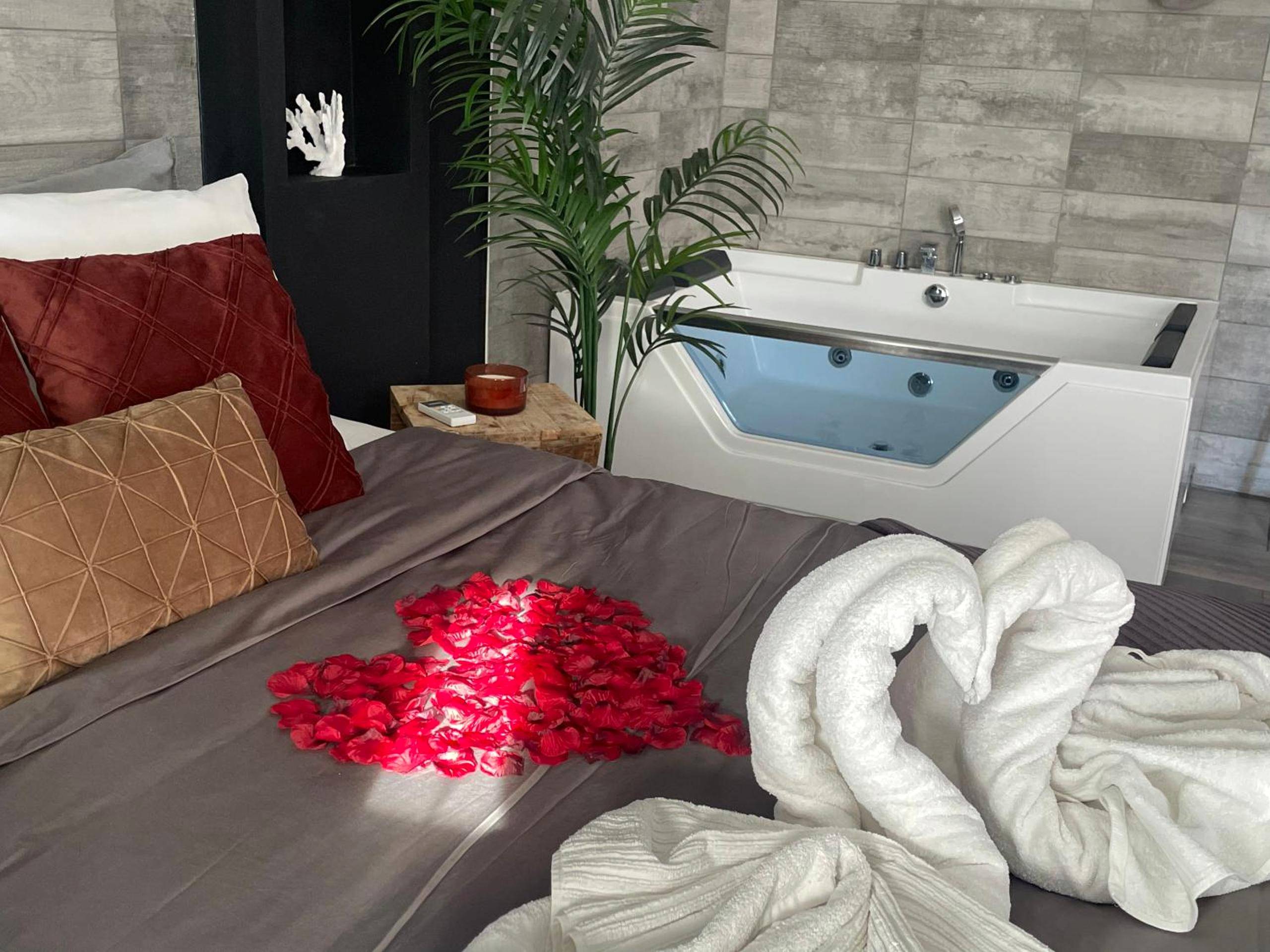 Vue du logement - Love Room Saint - Cyprien - L'Écrin de Saint - Superbe appartement avec balnéo.