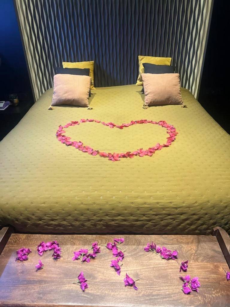 Photo du logement - Baobab