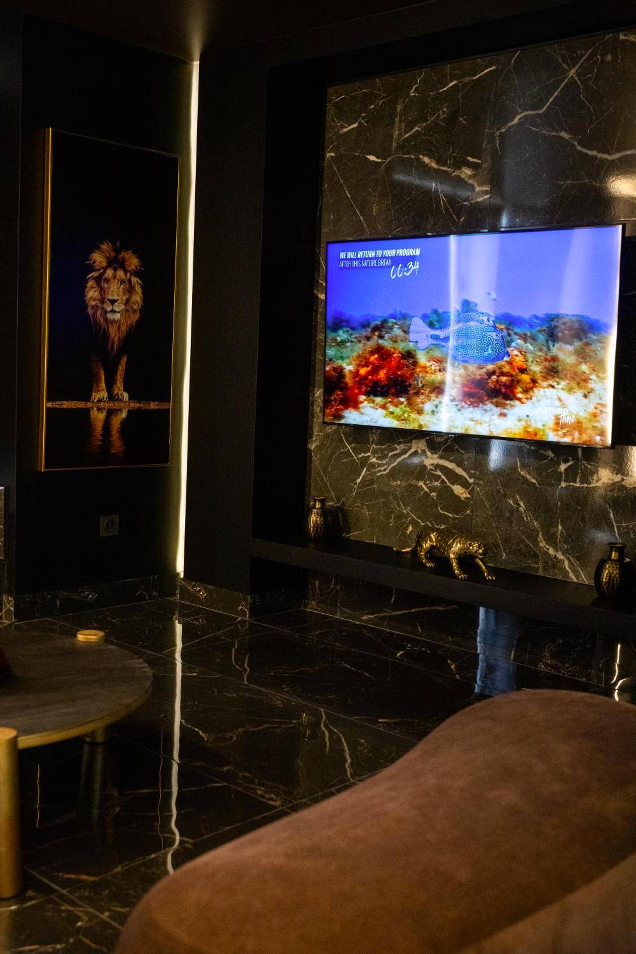 Photo du logement - Baobab - Corbas