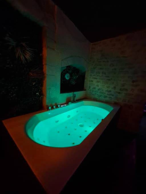 Photo du logement - La Bayeuzen - La Tropicale - Love Room