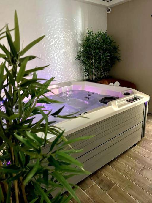 Jacuzzi privatif avec éclairage LED rose - BDSM TanTra Love Room & SPA