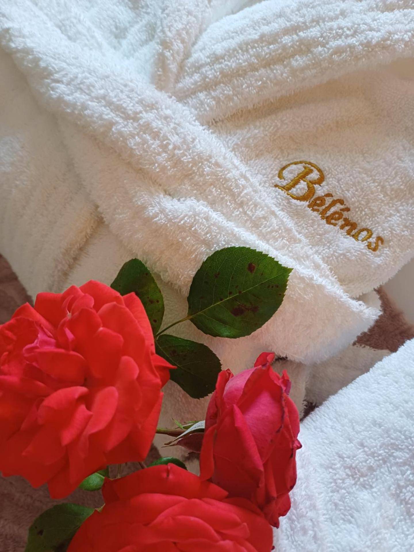 Photo du logement - Bélénos - Suites & Spa