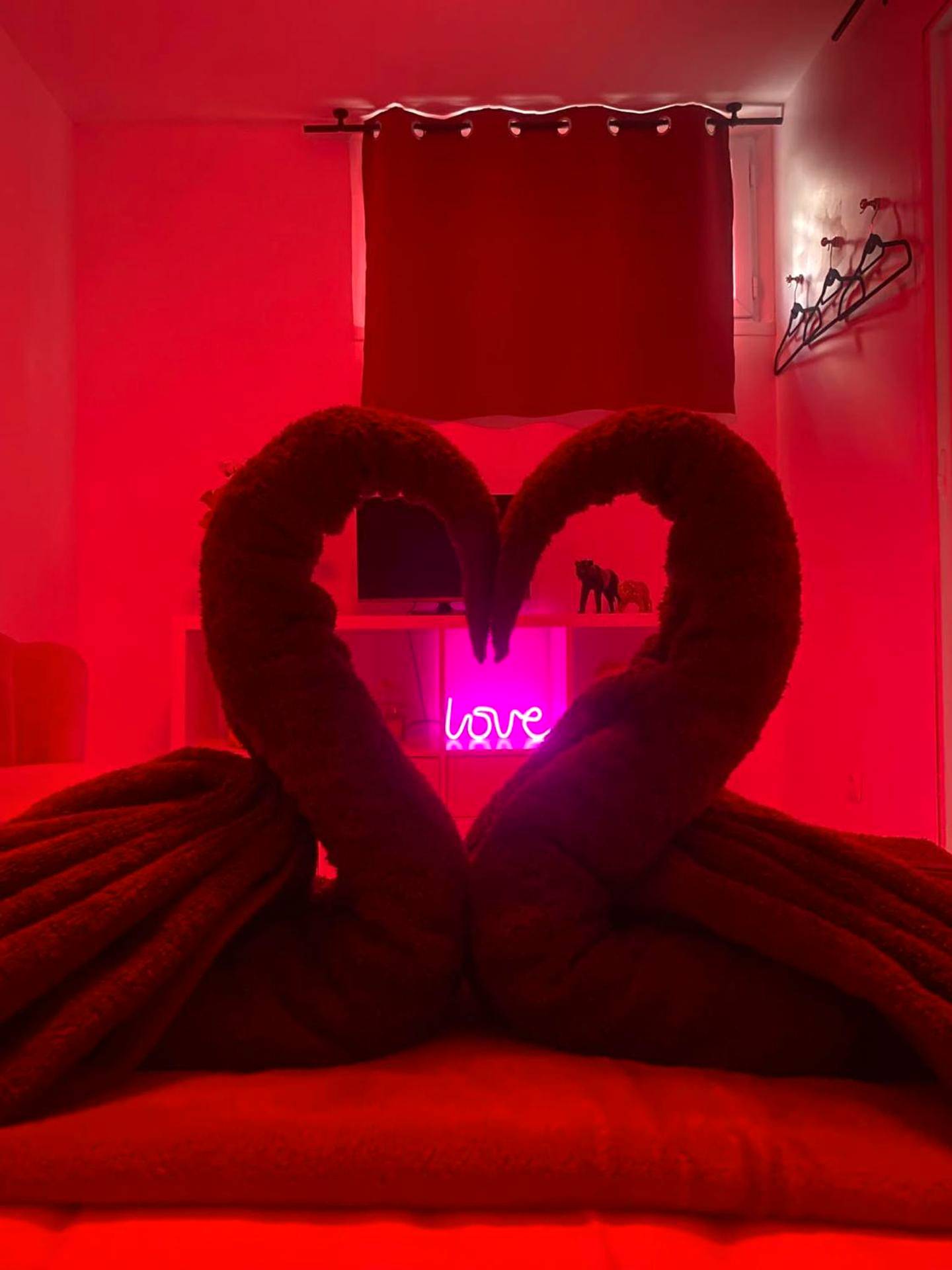 Photo du logement - La belle Hirondelle - Love Room Jacuzzi