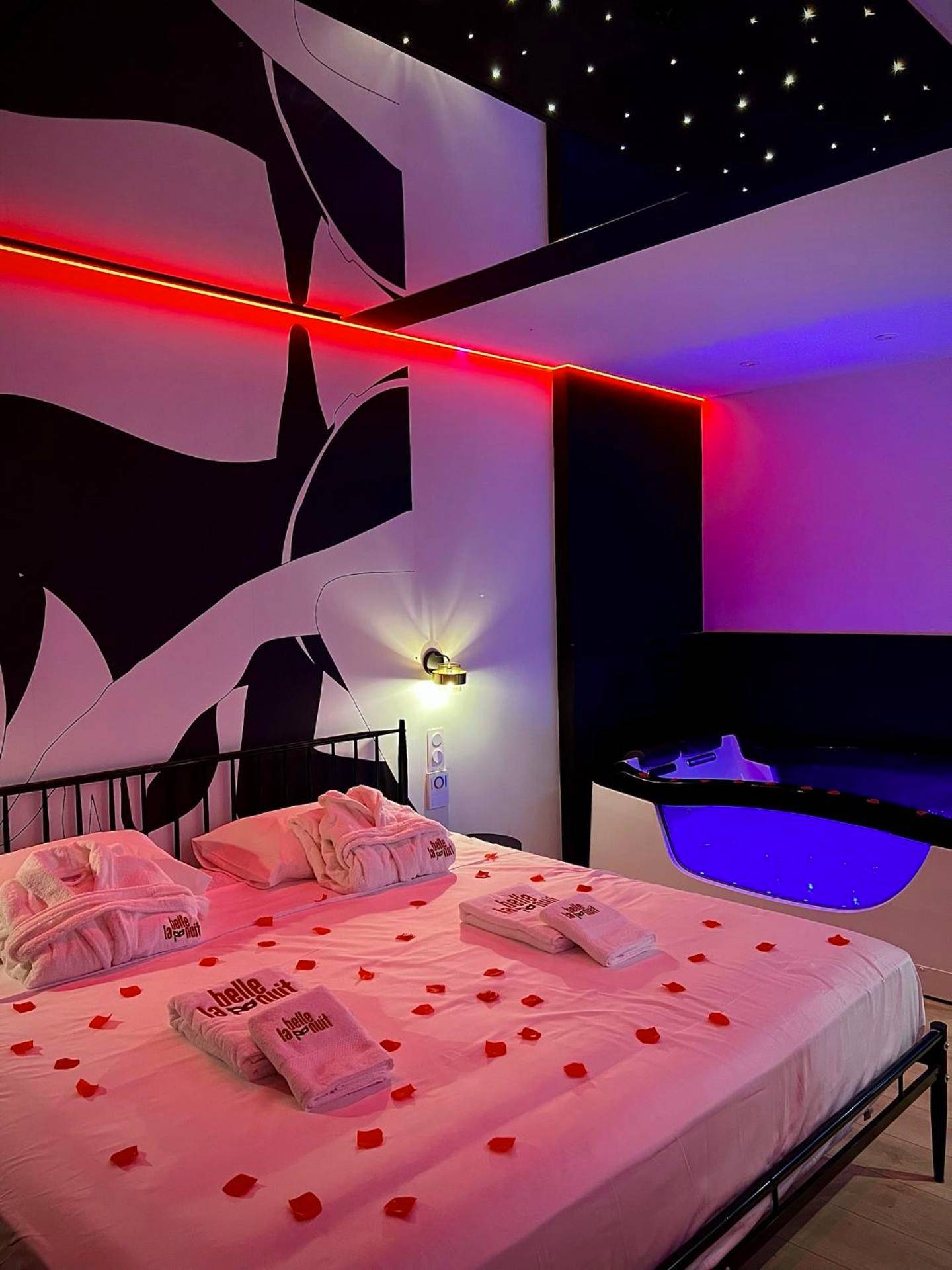 Detail du logement - La Belle Nuit suite Nuit Étoilée