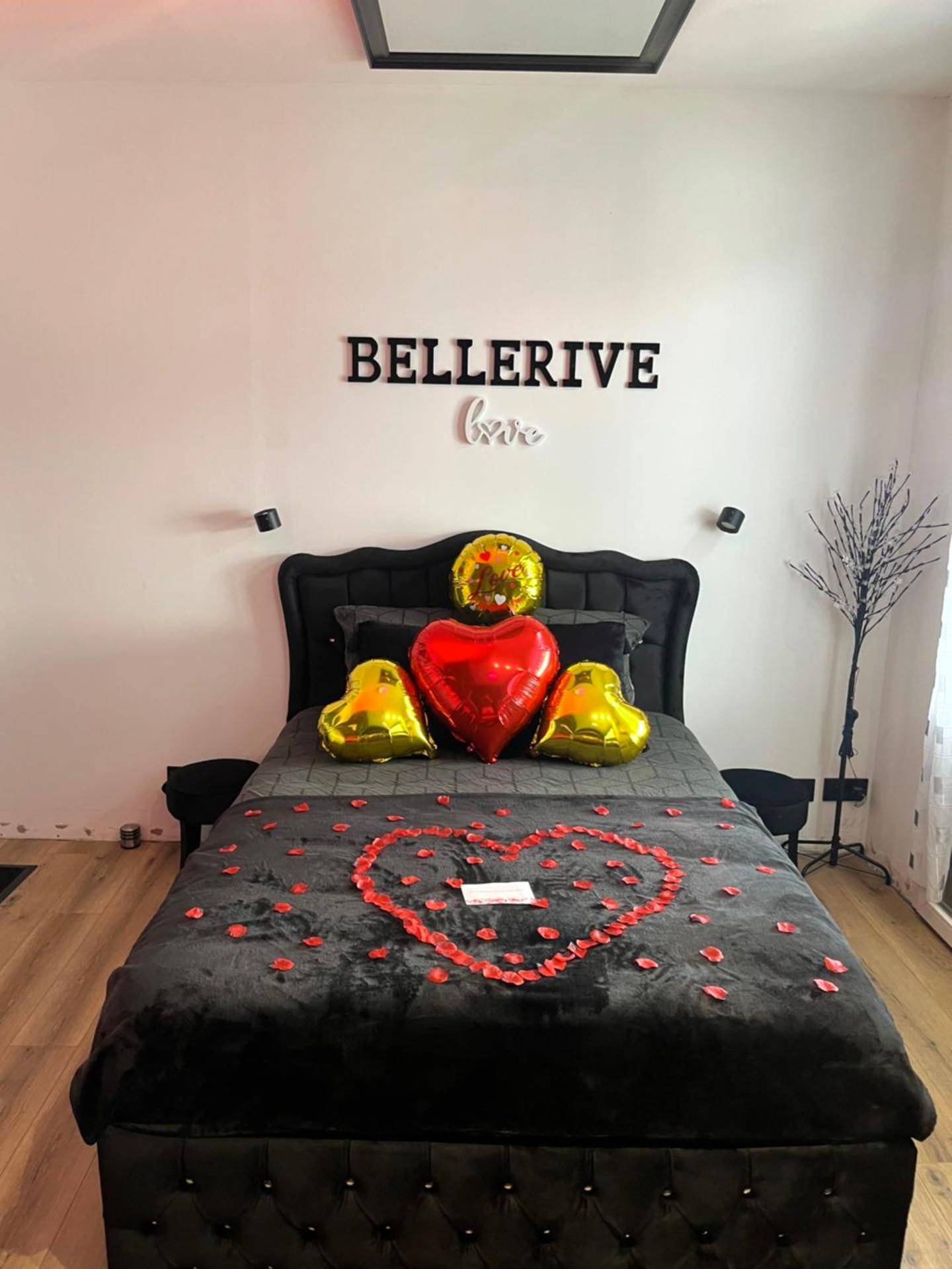 Photo du logement - BelleRive Love Room - Publier