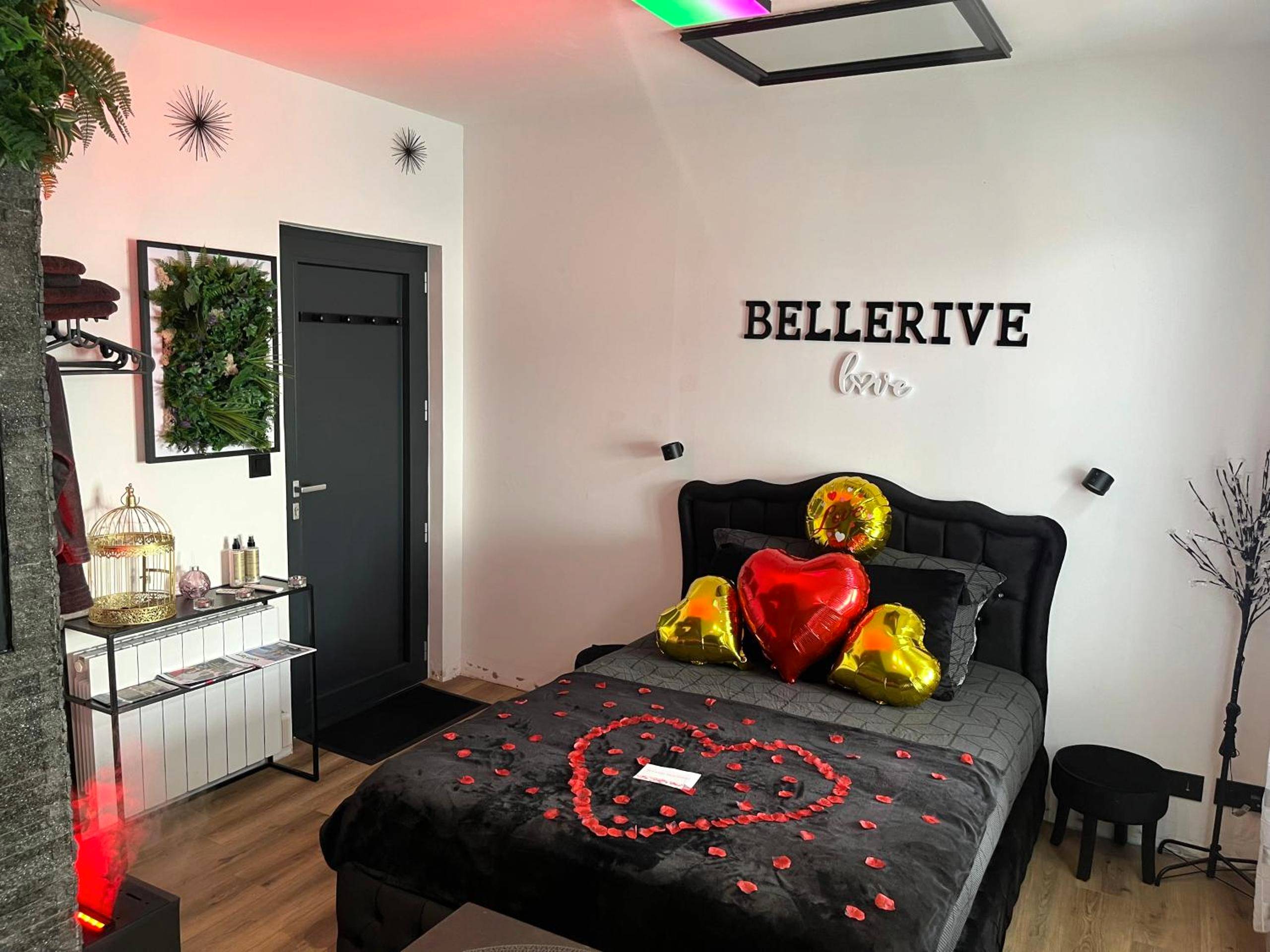 Photo du logement - BelleRive Love Room