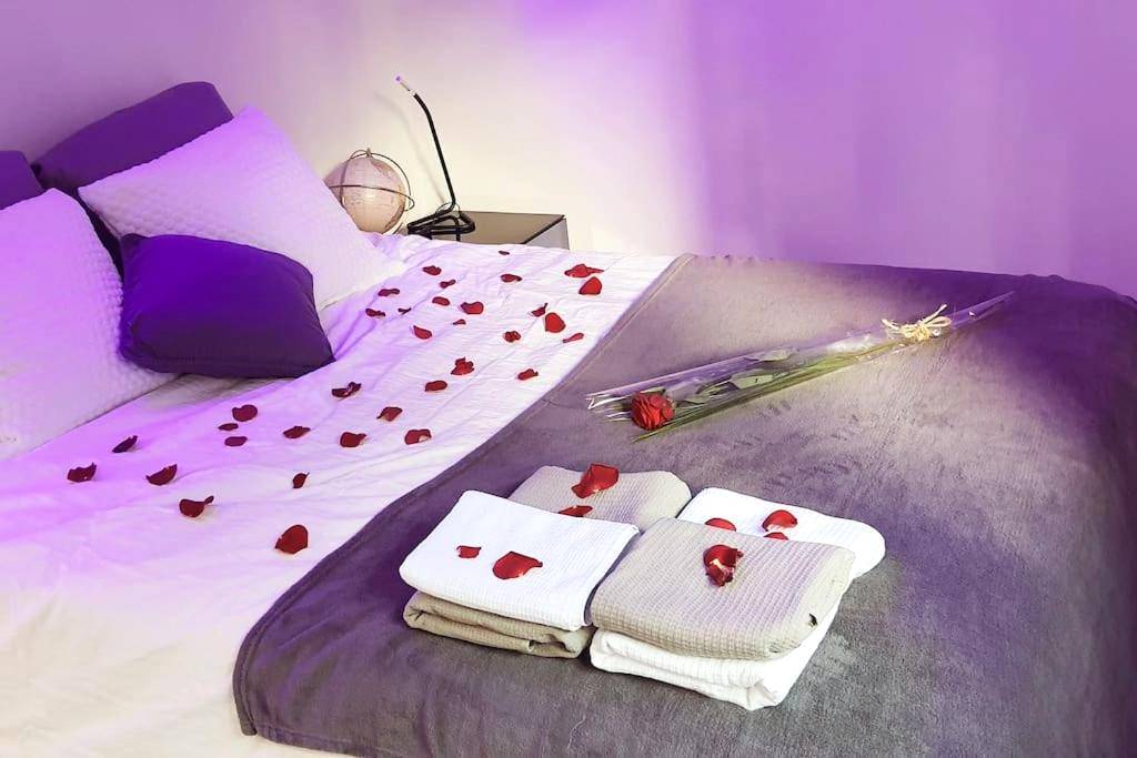 Vue interieure - La Bonne Etoile Marseille ! Hébergement romantique ! Jacuzzi et Piscine chauffée