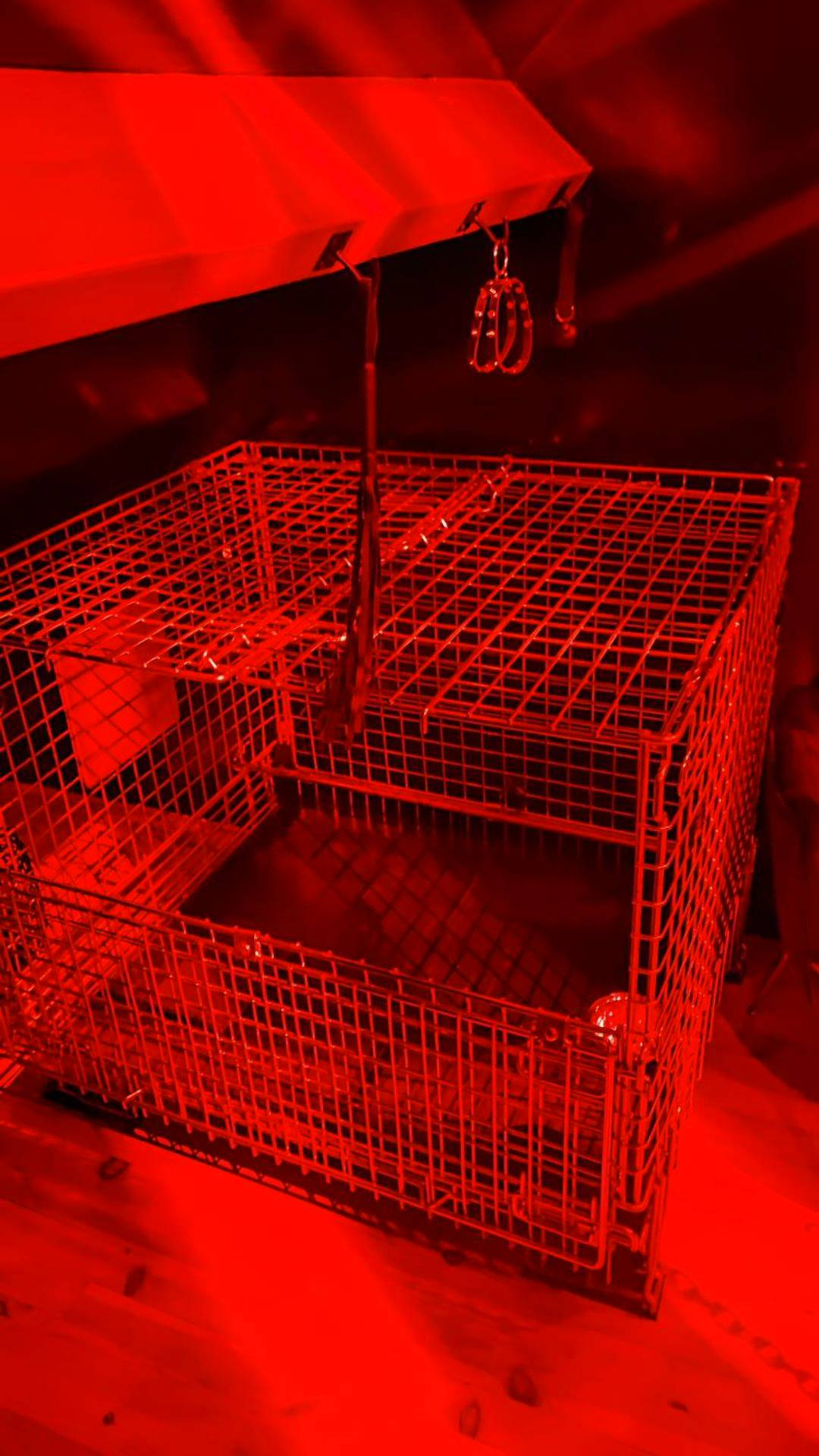 Photo du logement - Deauville Bonny and clyde room