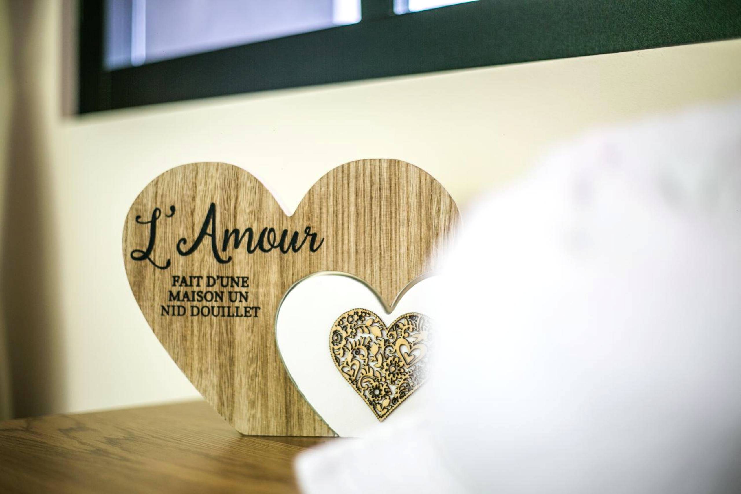 Photo du logement - Le Boudoir de Fanny - Sauna/Balnéo/ciné/Hamacs