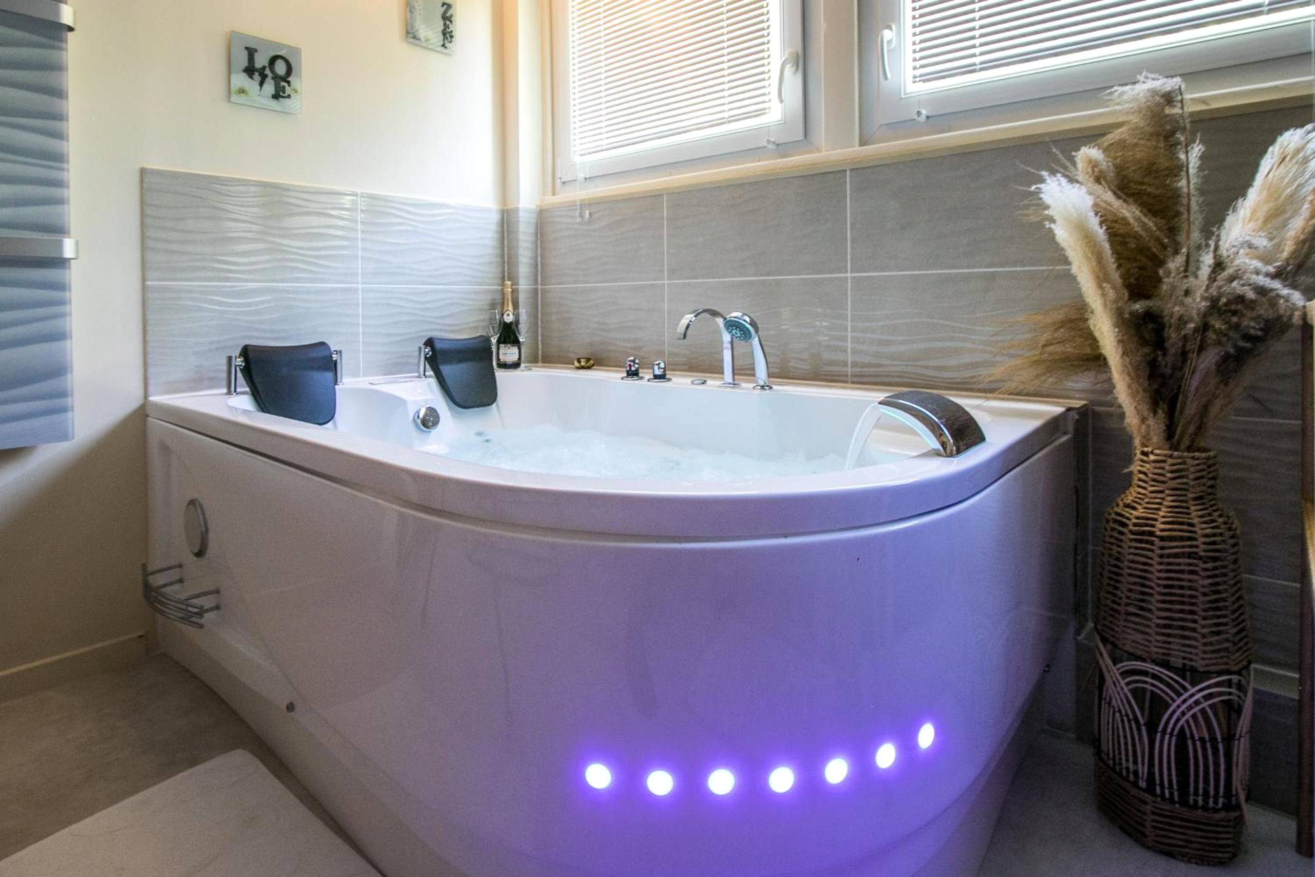 Photo du logement - Le Boudoir de Fanny - Sauna/Balnéo/ciné/Hamacs