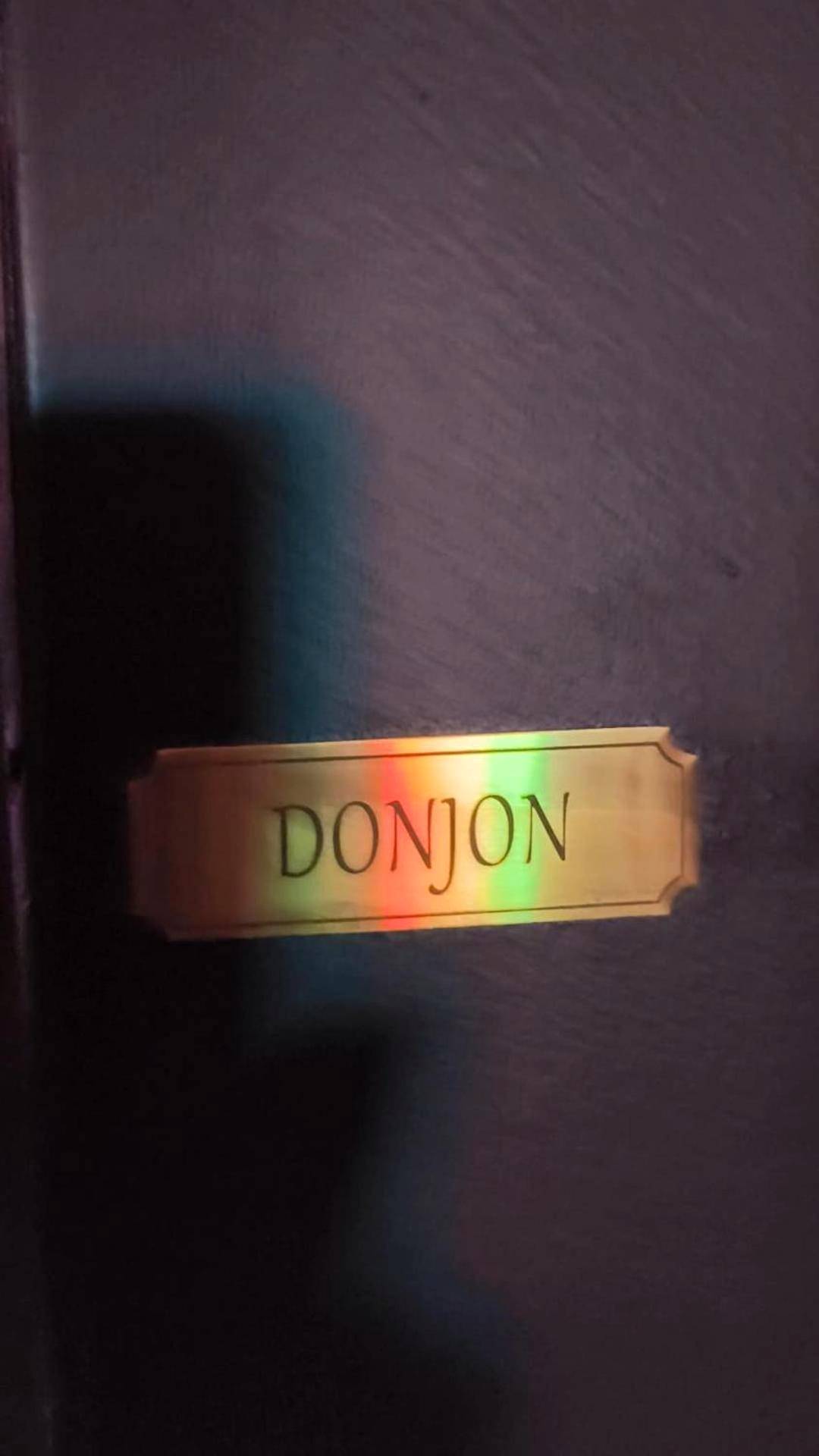 Photo du logement - Le boudoir des jouissances perverses