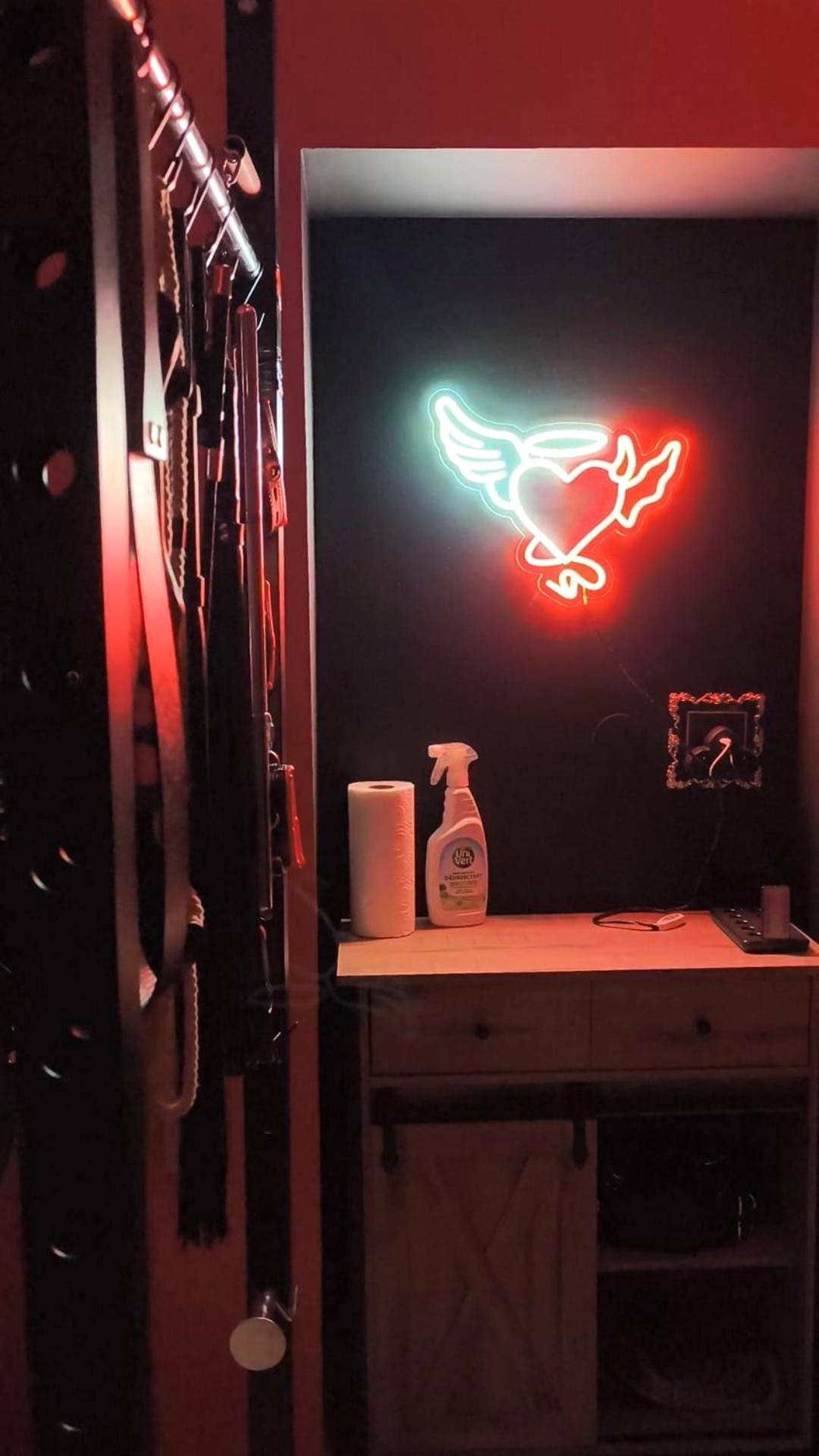 Photo du logement - Le boudoir des jouissances perverses